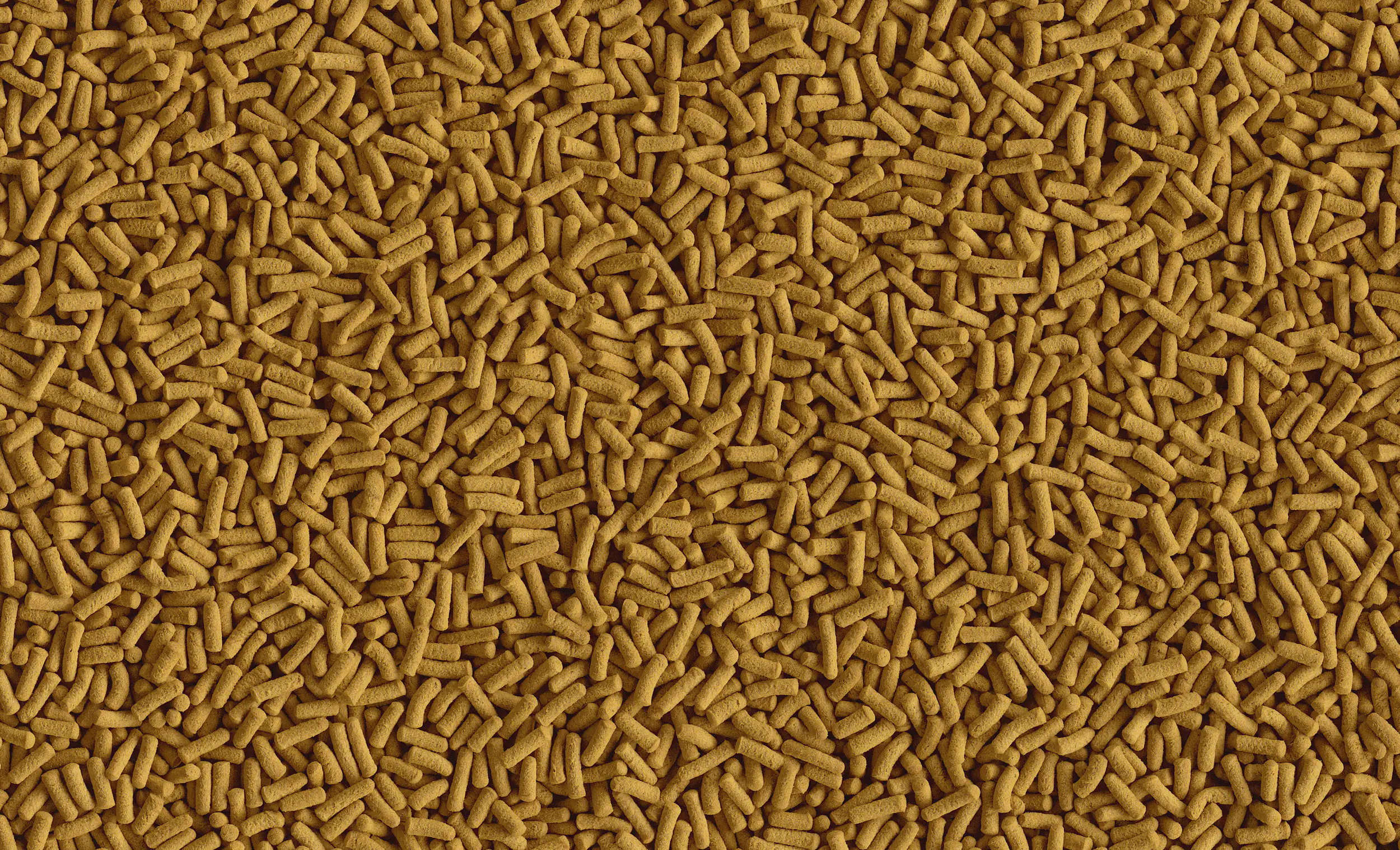 Tetra Cichlid Sticks 500 ml