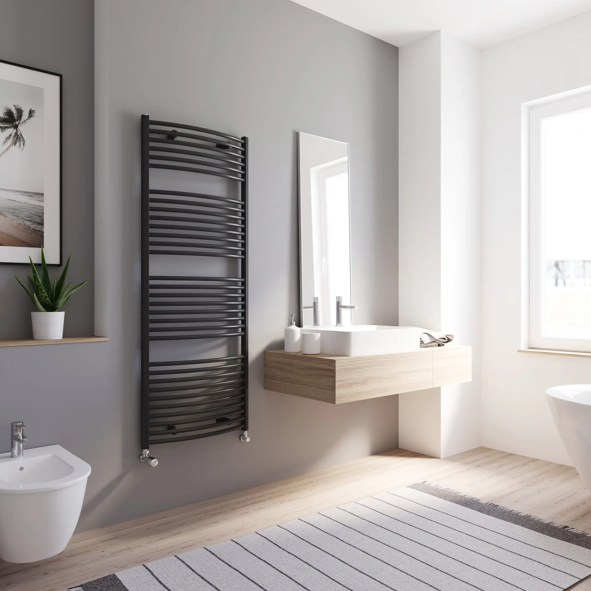 Schulte Design-Heizkörper Europa 153,5 x 60 cm mattschwarz 818 W