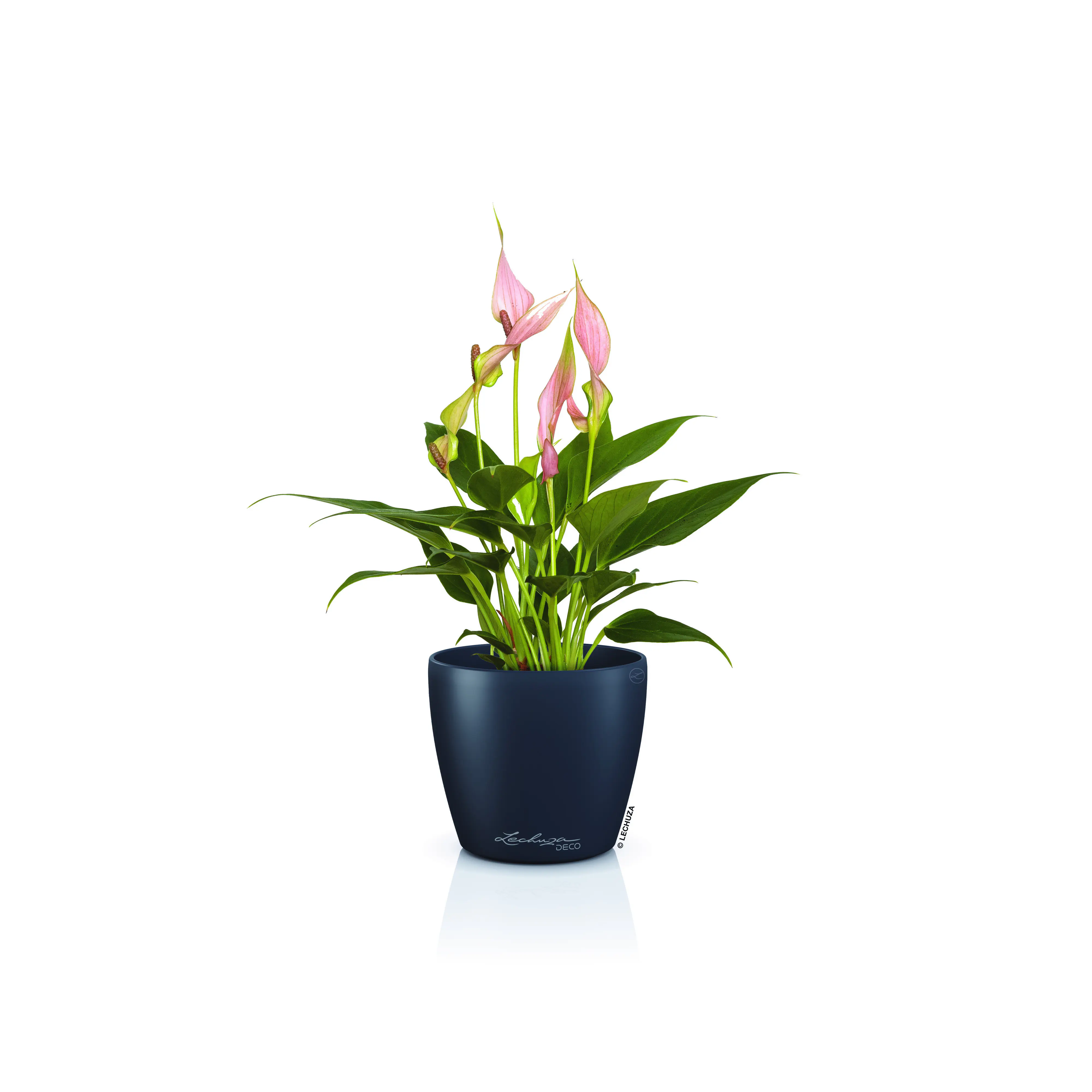 Lechuza Pflanztopf Deco 10 Ø 11,1 x 10 cm schiefergrau