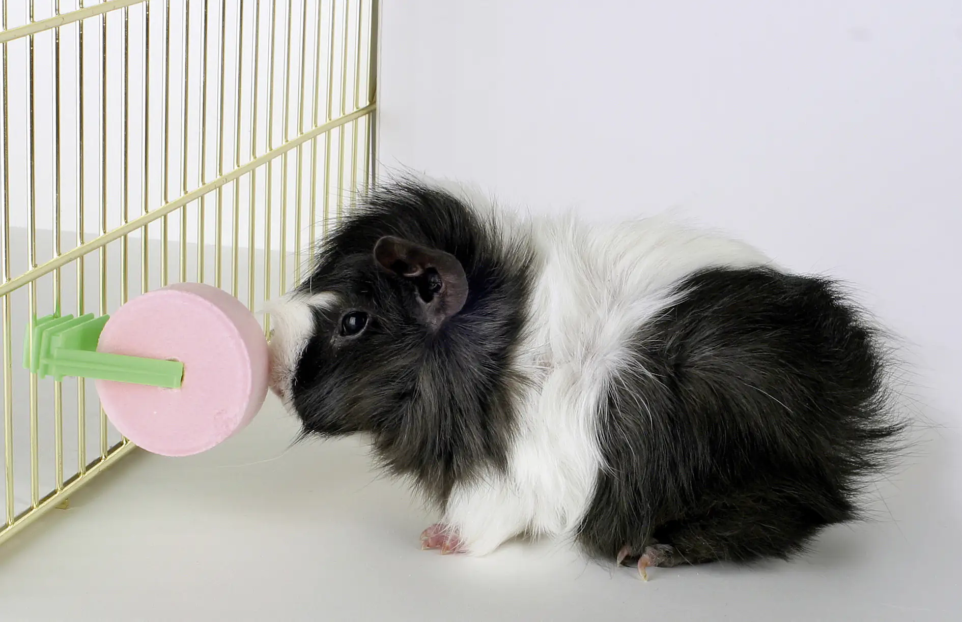 Kerbl Salzleckstein mit Halter für Nager 80 g