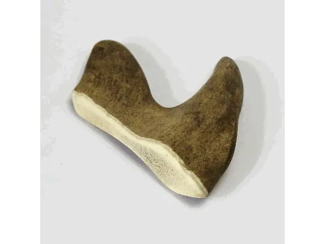 4038374160309 Larsson Geweih Elk-Schäufle I