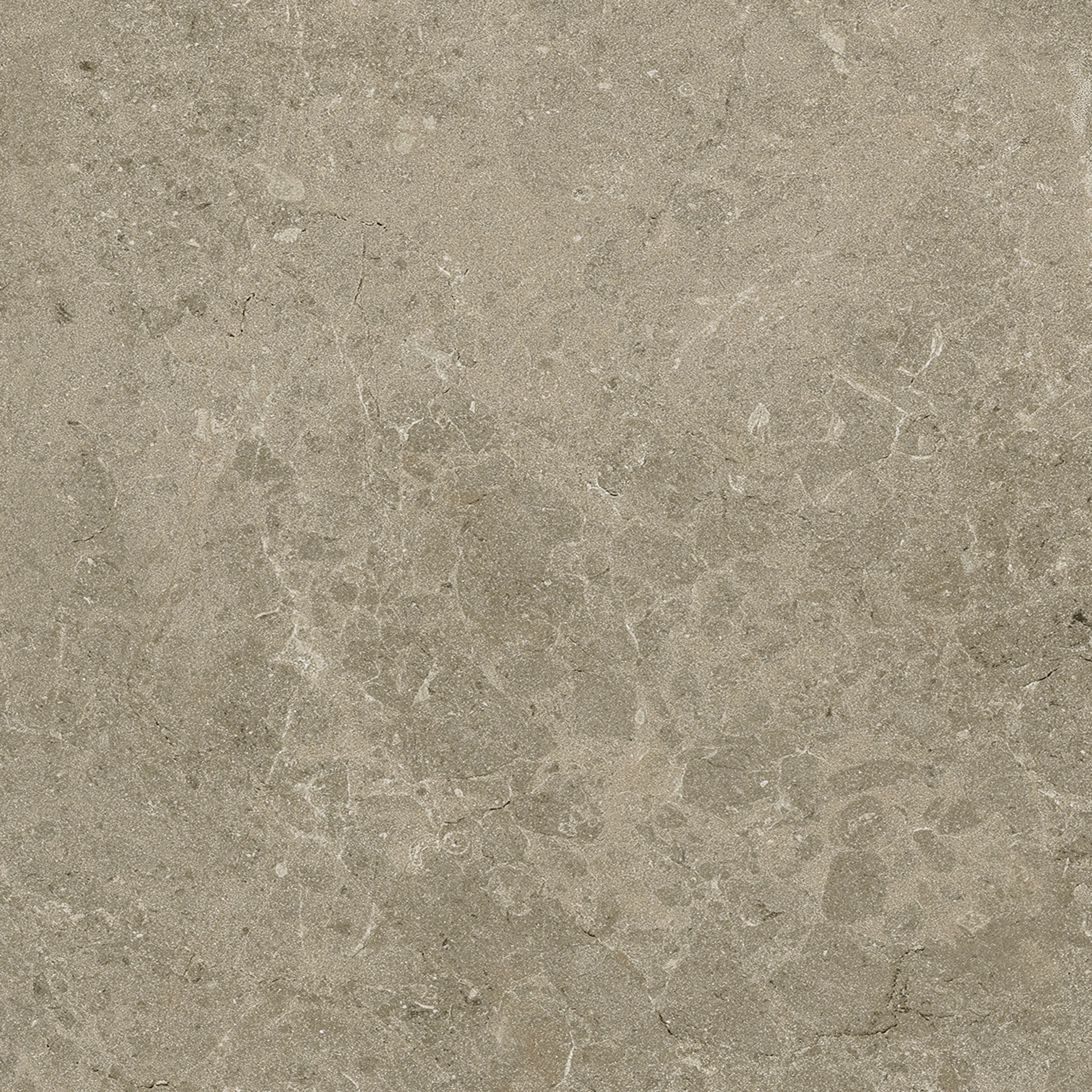 Terrassenplatte Botticino 60 x 60 cm Taupe Terrassenplatte Botticino 60 x 60 cm Taupe