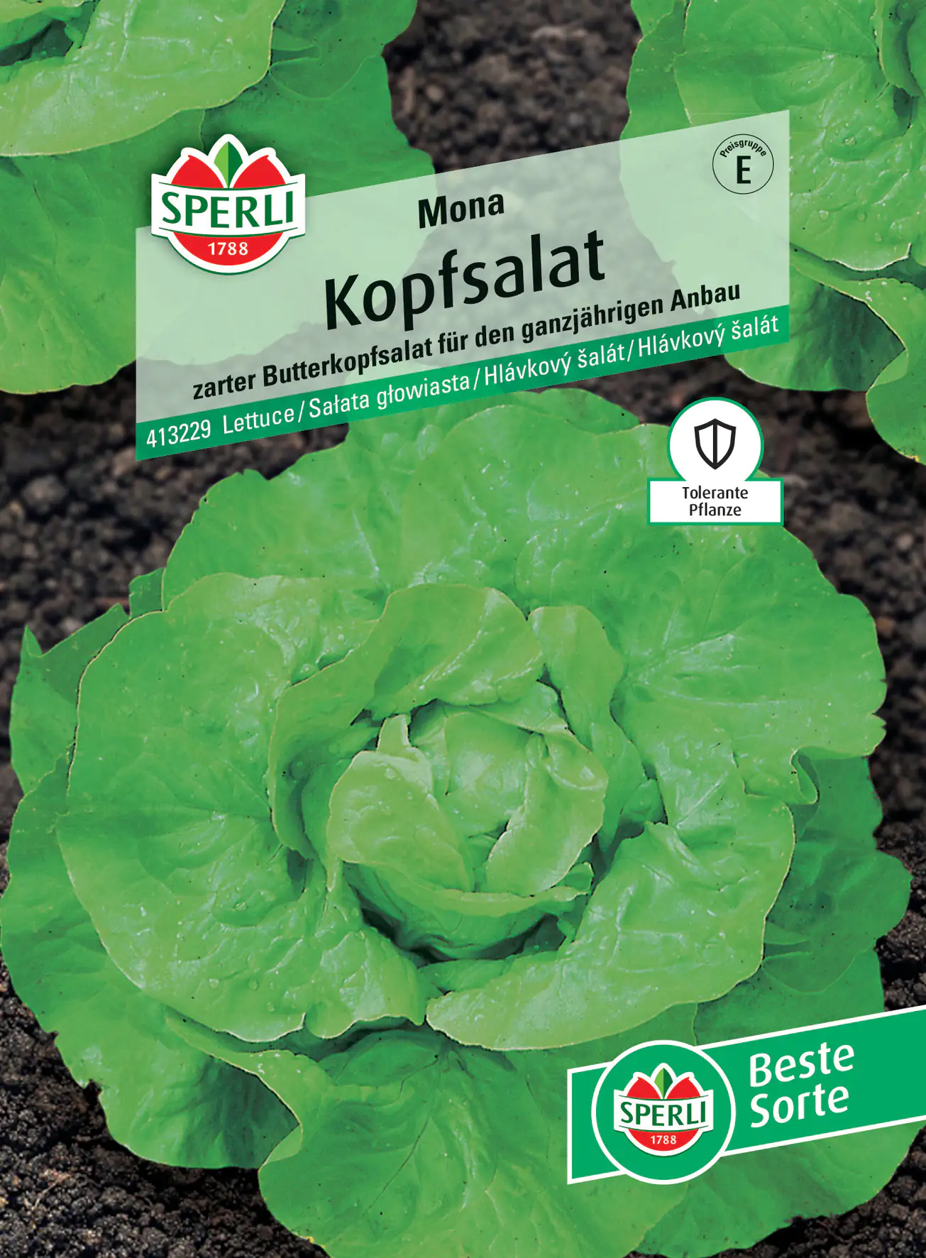 Sperli Kopfsalat Mona Sperli Kopfsalat Mona