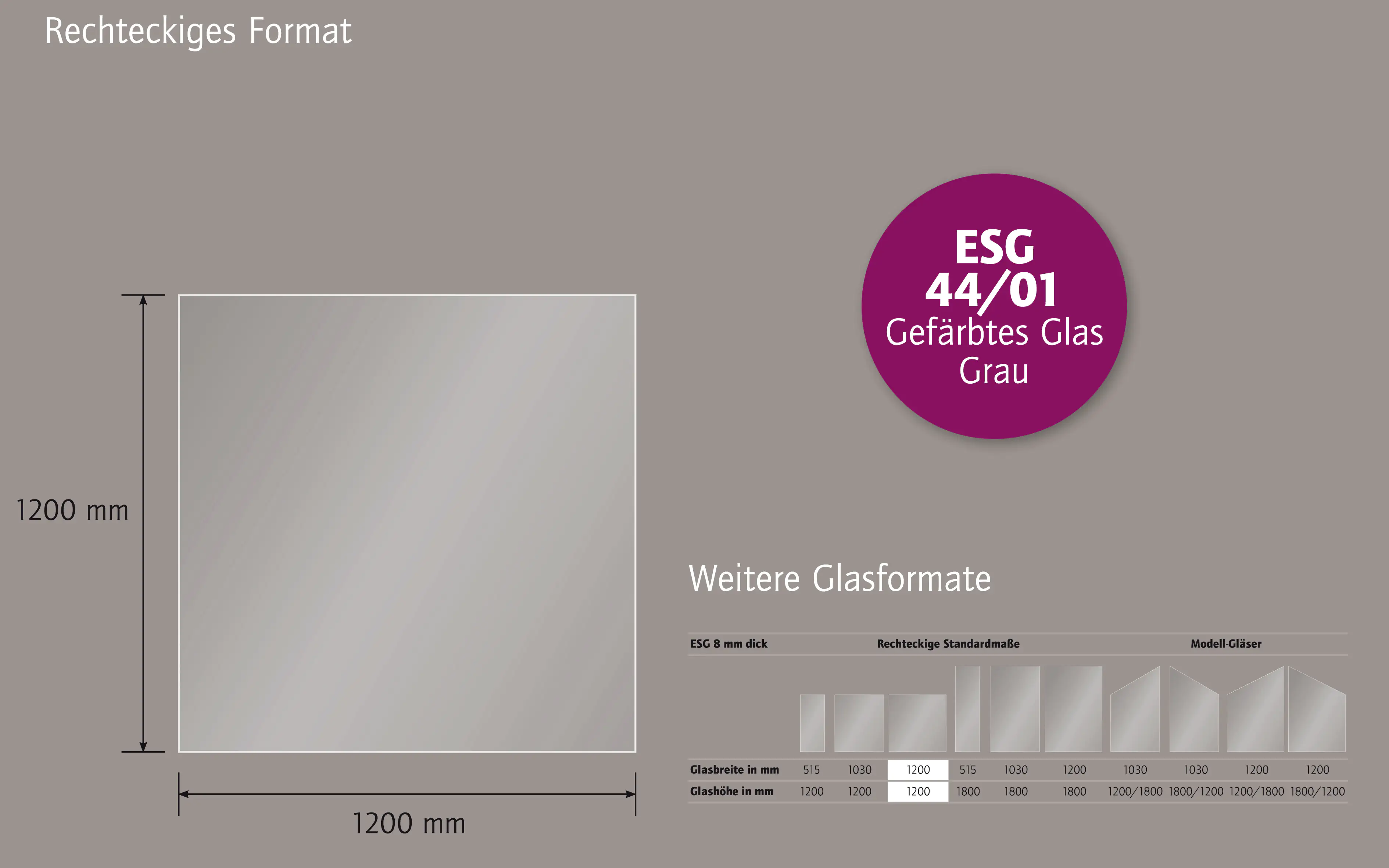 Ambiente Glaszaun B x H: 120 cm x 120 cm, gehärtetes 8 mm Glas Ambiente Glaszaun B x H: 120 cm x 120 cm, gehärtetes 8 mm Glas