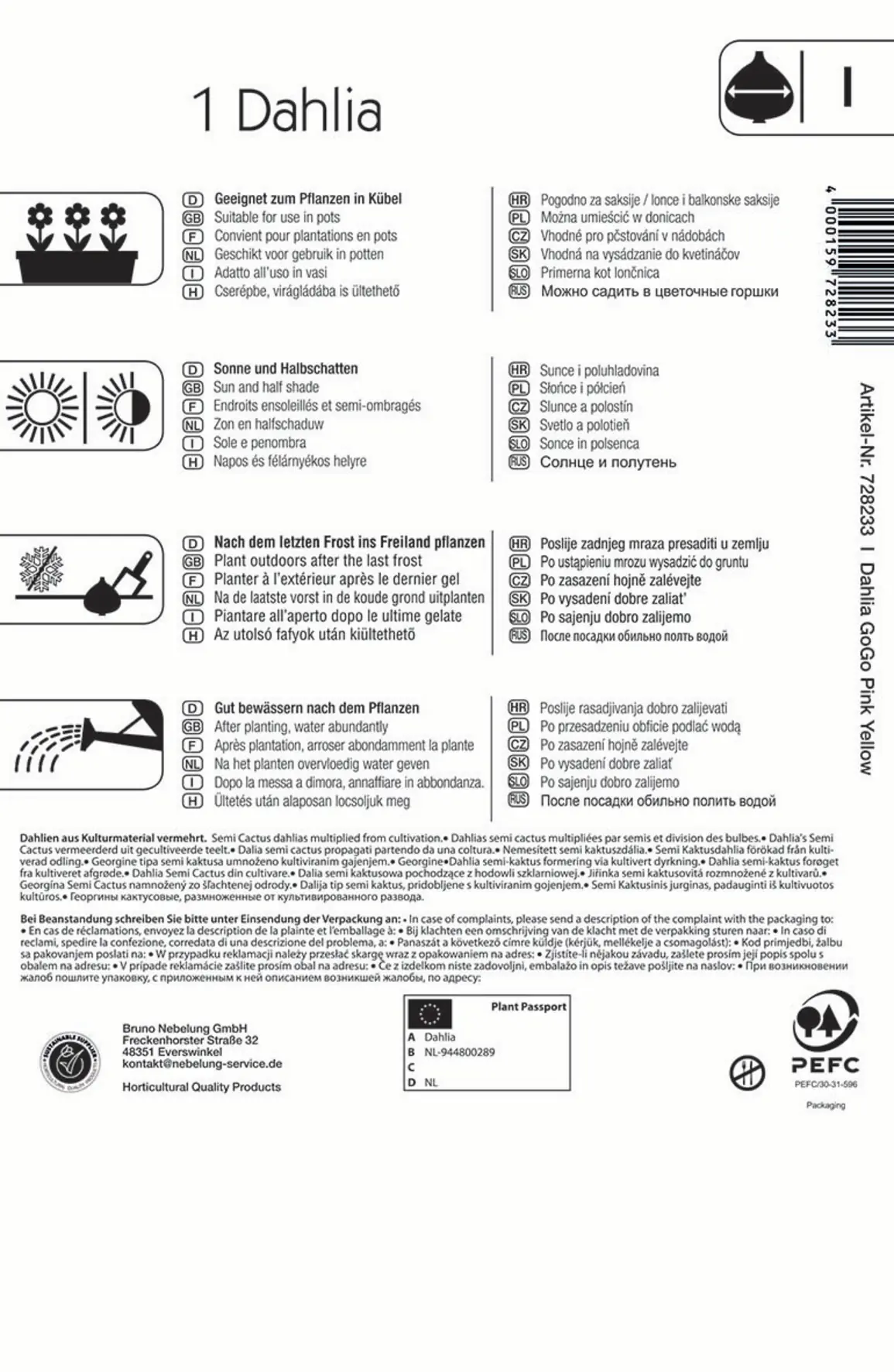 Kiepenkerl Beet- & Kübel-Dahlie Go Go Pink Yellow