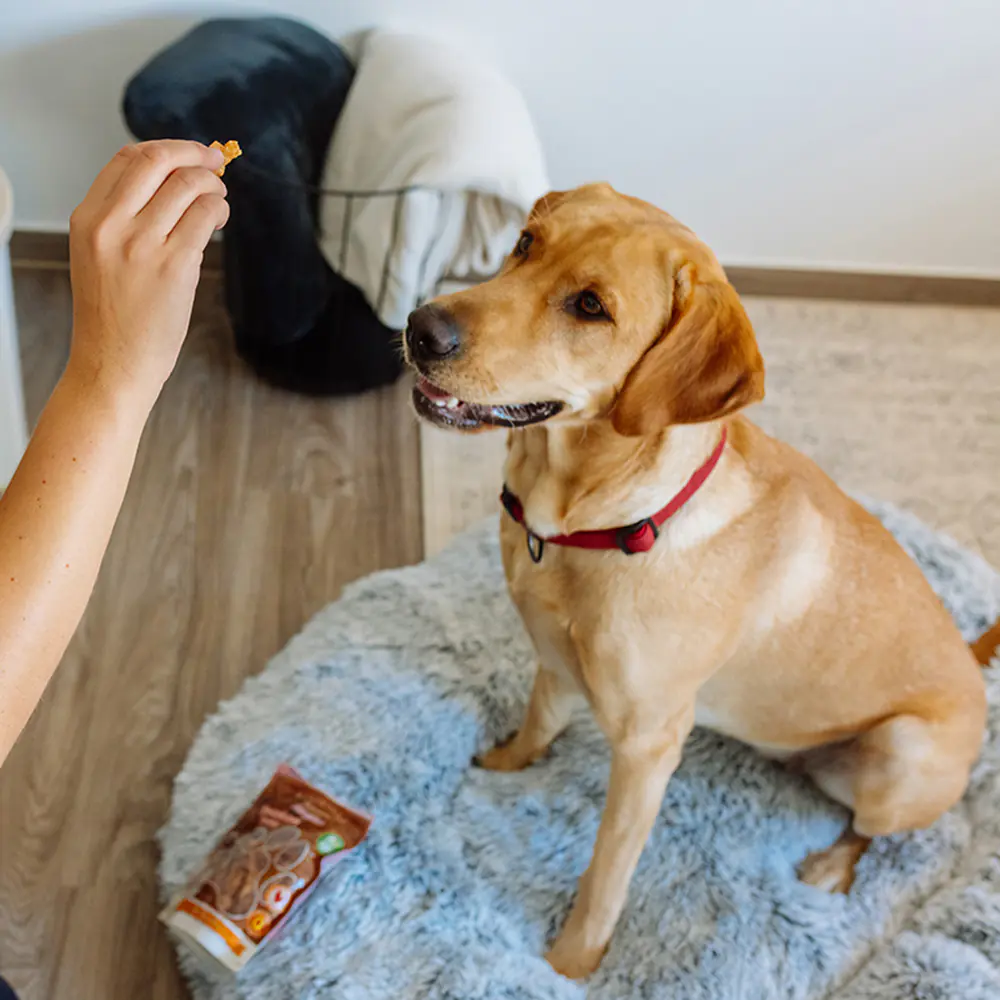 Nobby StarSnack Sensitive Hundeleckerli Chicken Curls 113 g