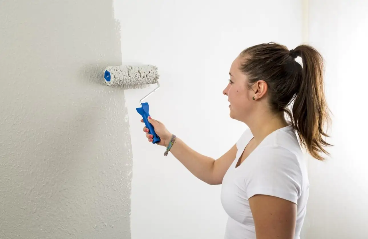 Knauf Easyputz Farbwalze