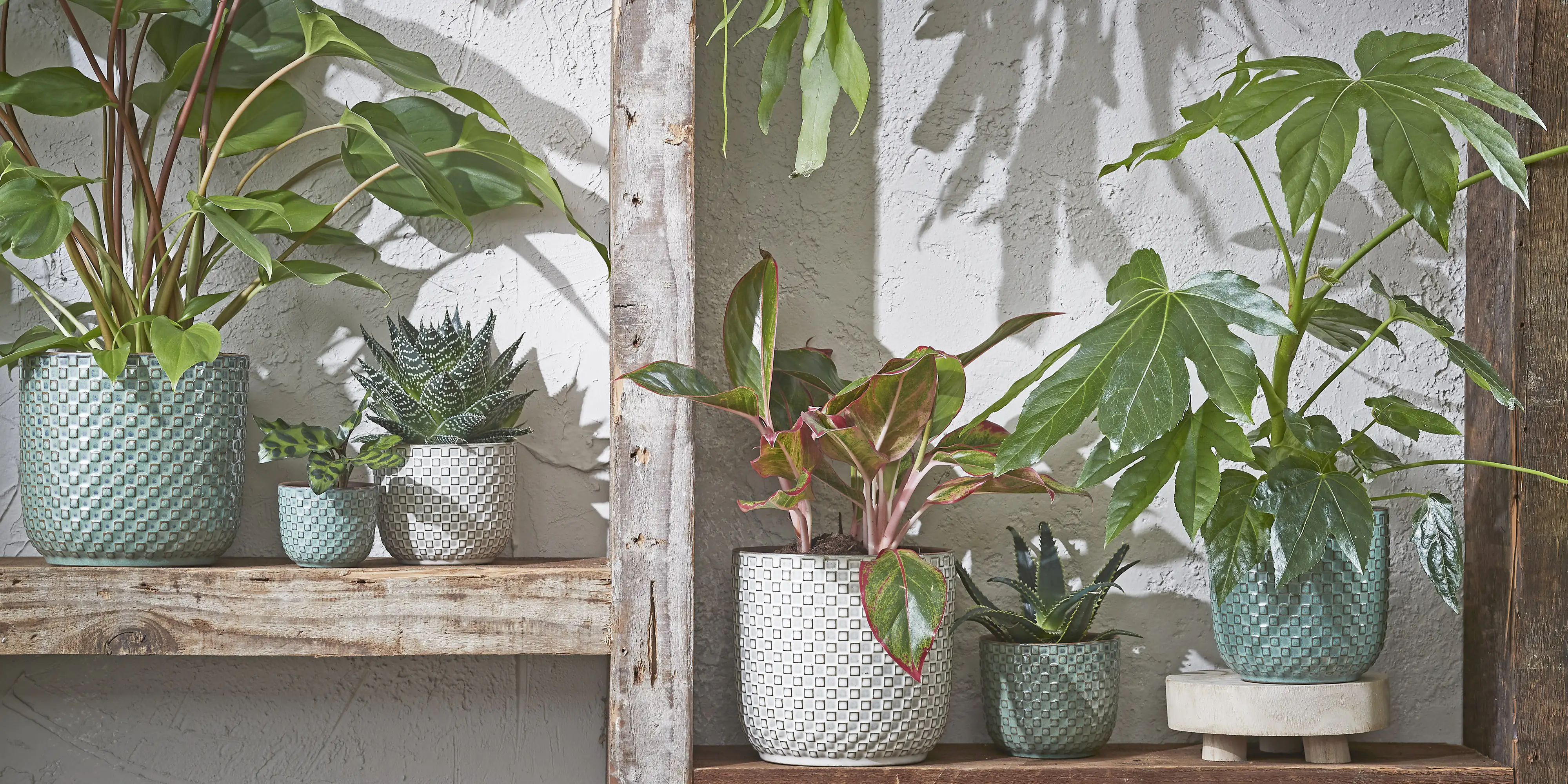 Mica Übertopf Keramik grün Ø 7,5 x 6,5 cm Daan