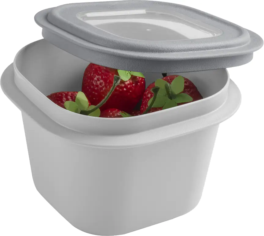 Sunware Frischhaltedose Sigma Home 0,8 L grau