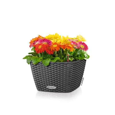 Lechuza Pflanzschale Kunststoff BACINO Cottage 30 30 x 30 x 18 cm granit