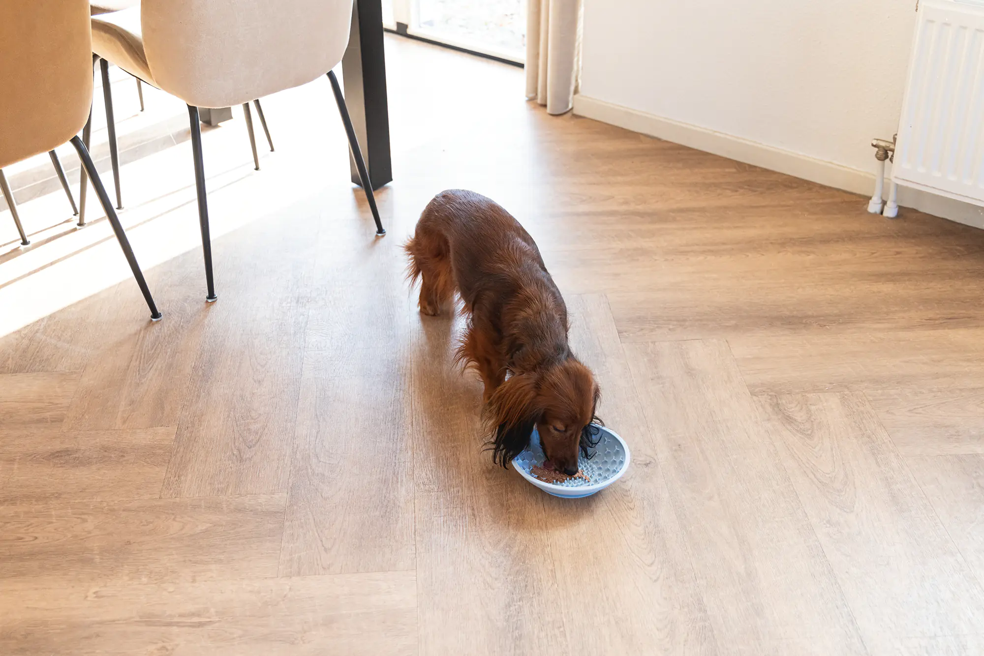 Beeztees Hundeleckschale Silikon Ø 19 cm blau Beeztees Hundeleckschale Silikon Ø 19 cm blau