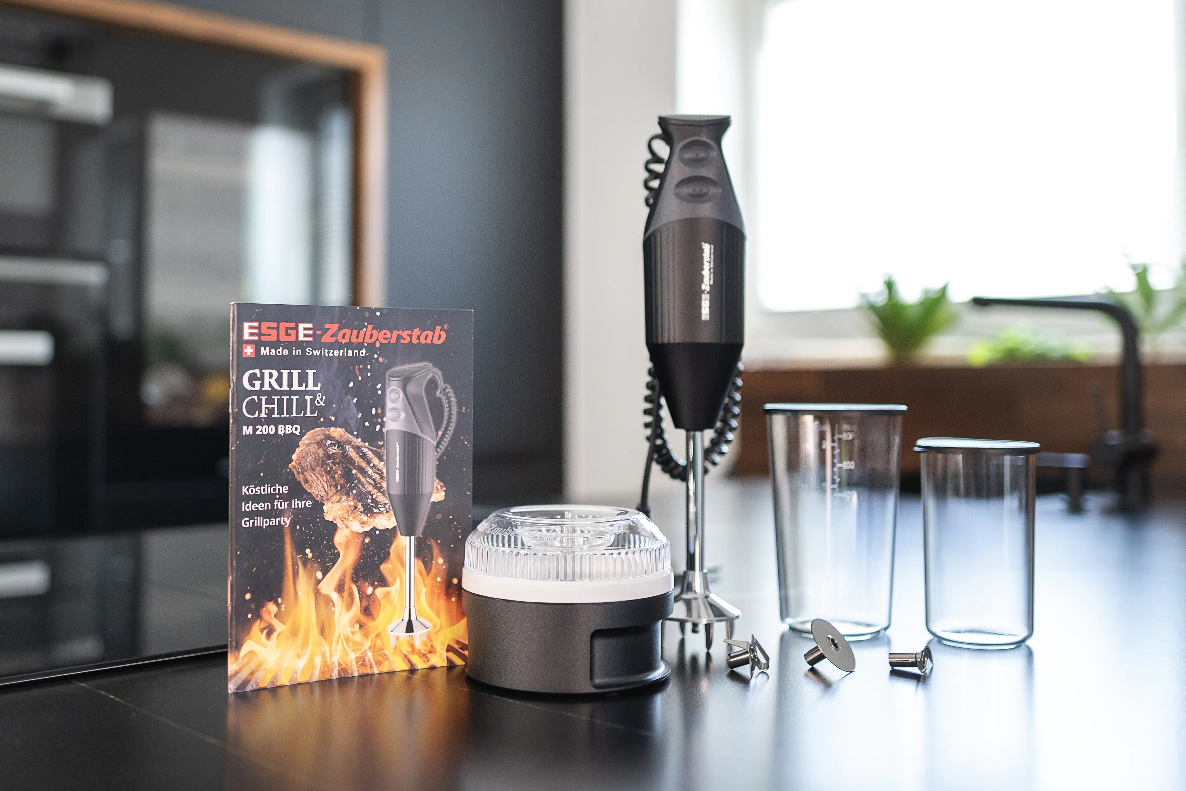 ESGE Stabmixer M 200 BBQ 200 W Rezeptbuch Zauberstab