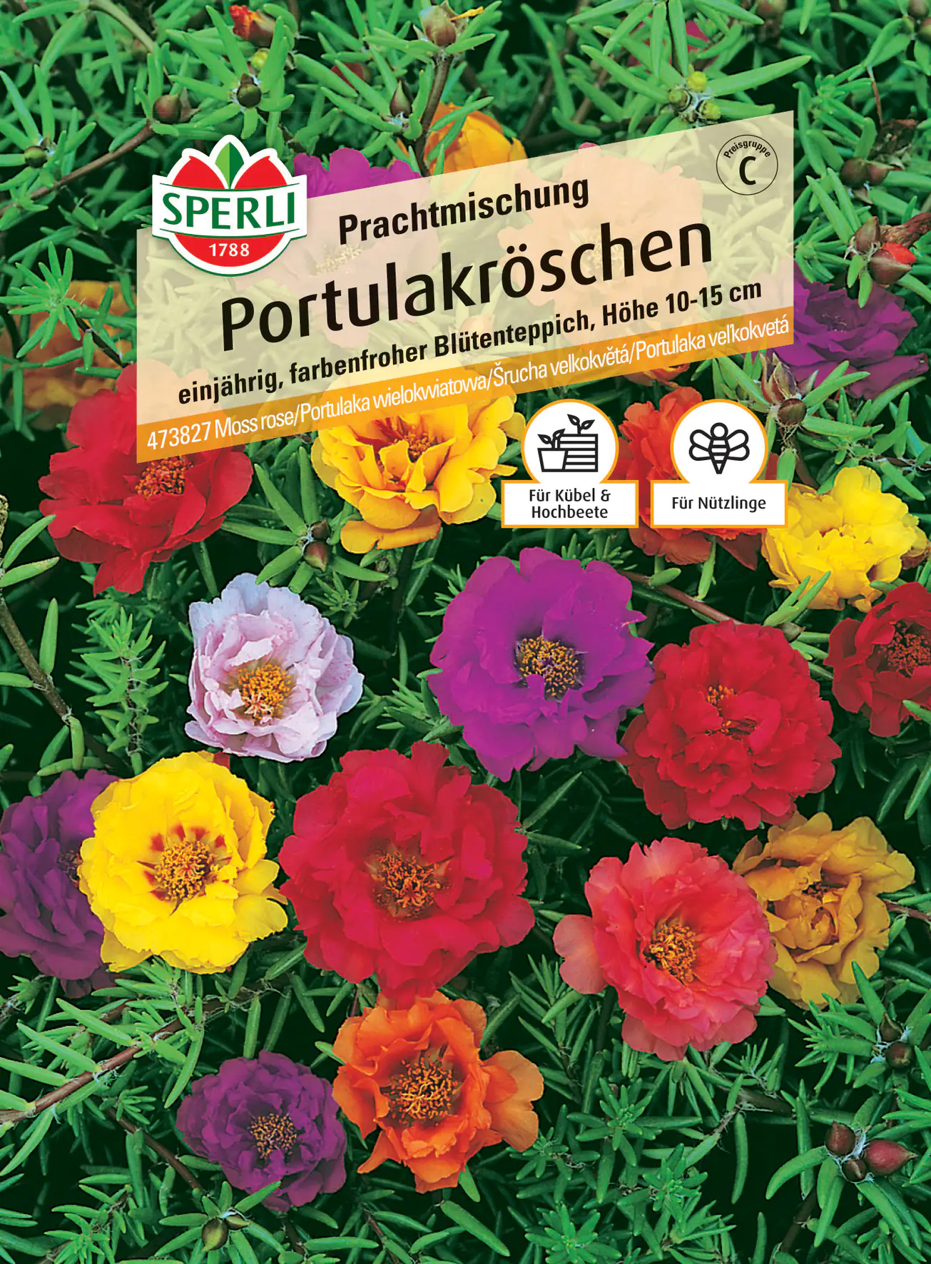 Sperli Portulakröschen Prachtmischung