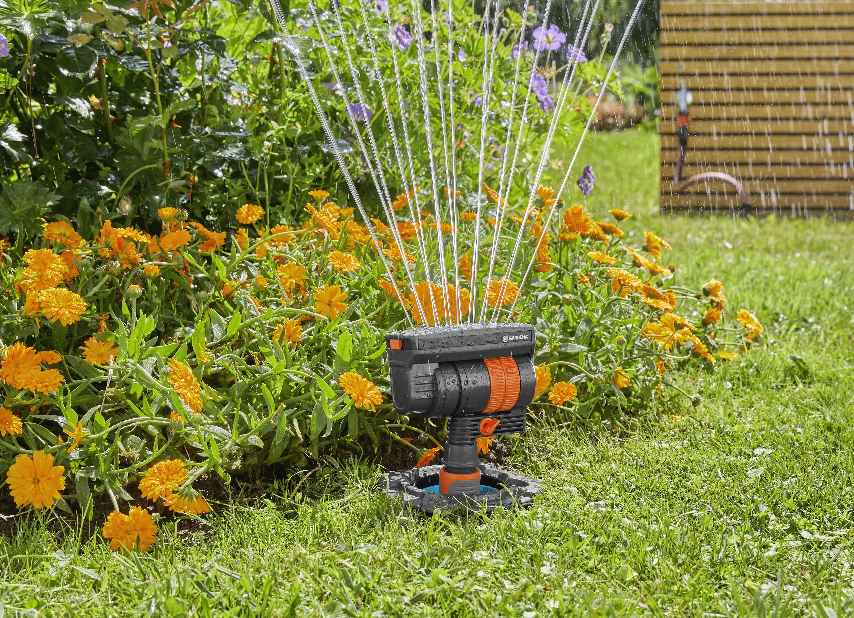 Gardena Start-Set Pipeline mit Viereckregner 3/4"-Innengewinde