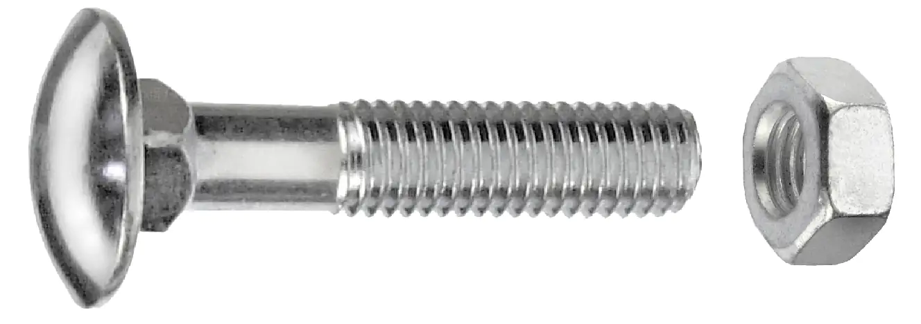 Schlossschrauben M12 x 60 mm, 20 Stück