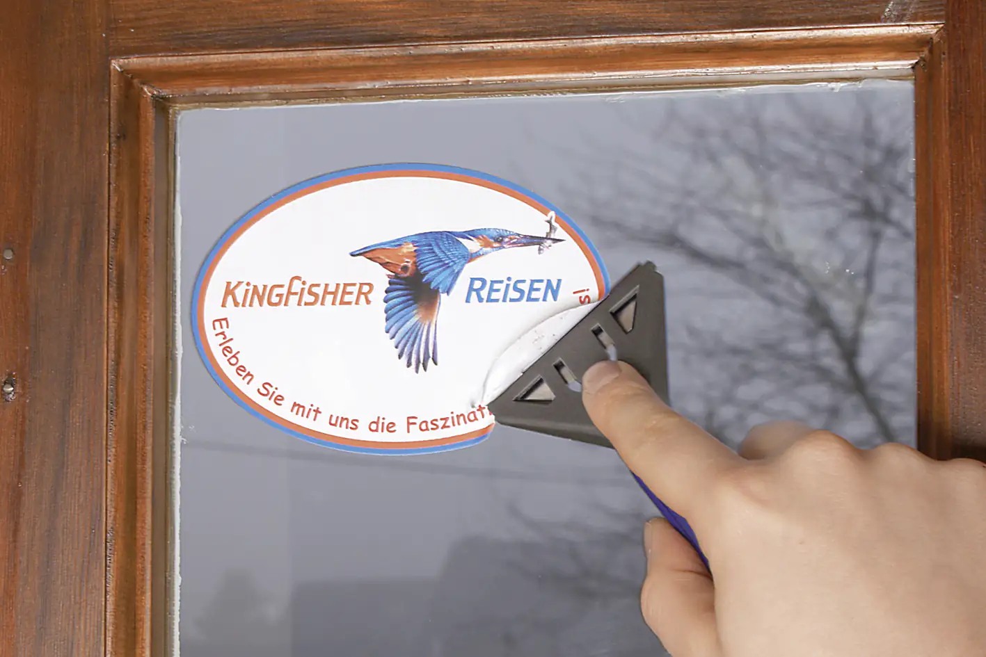 Wolfcraft Kunststoff-Schaber 61 mm Klingenstärke 0,65 mm