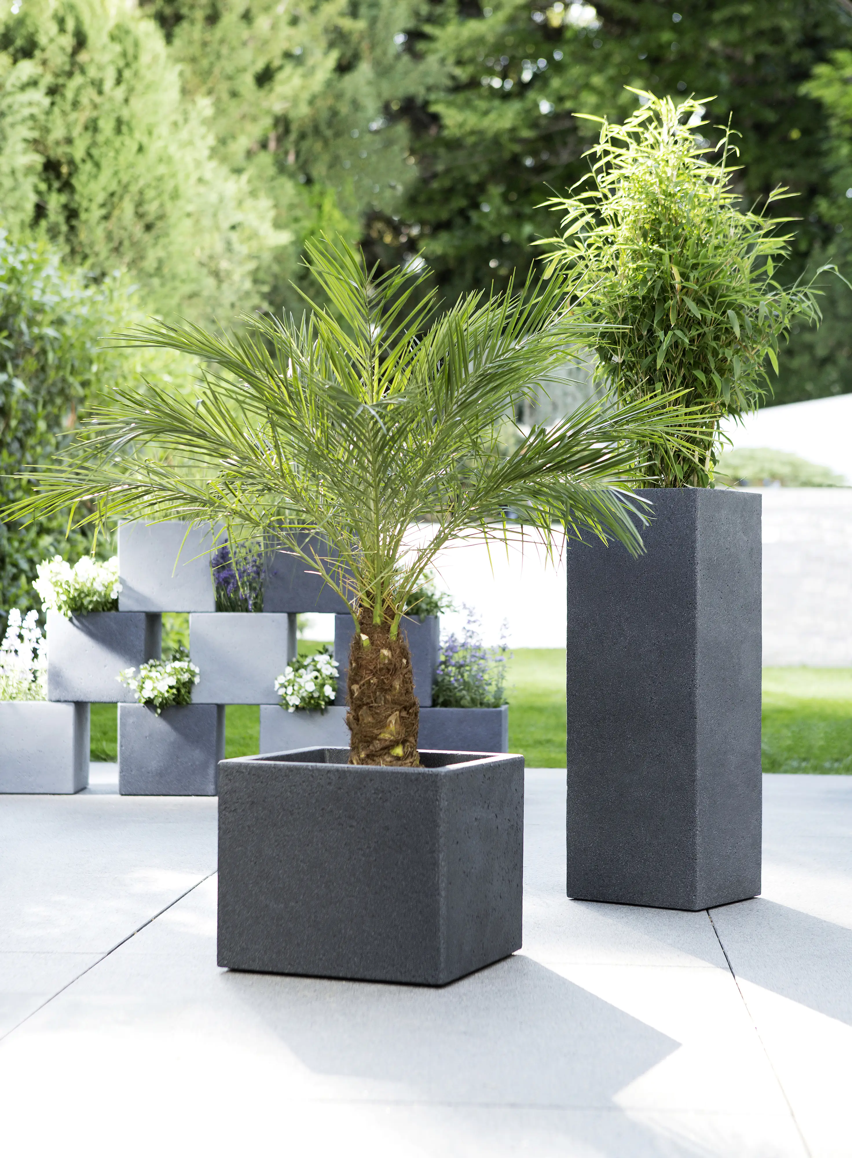 Scheurich Pflanzgefäß C-Cube Serie 240 schwarz granit 40 cm Scheurich Pflanzgefäß C-Cube Serie 240 schwarz granit 40 cm