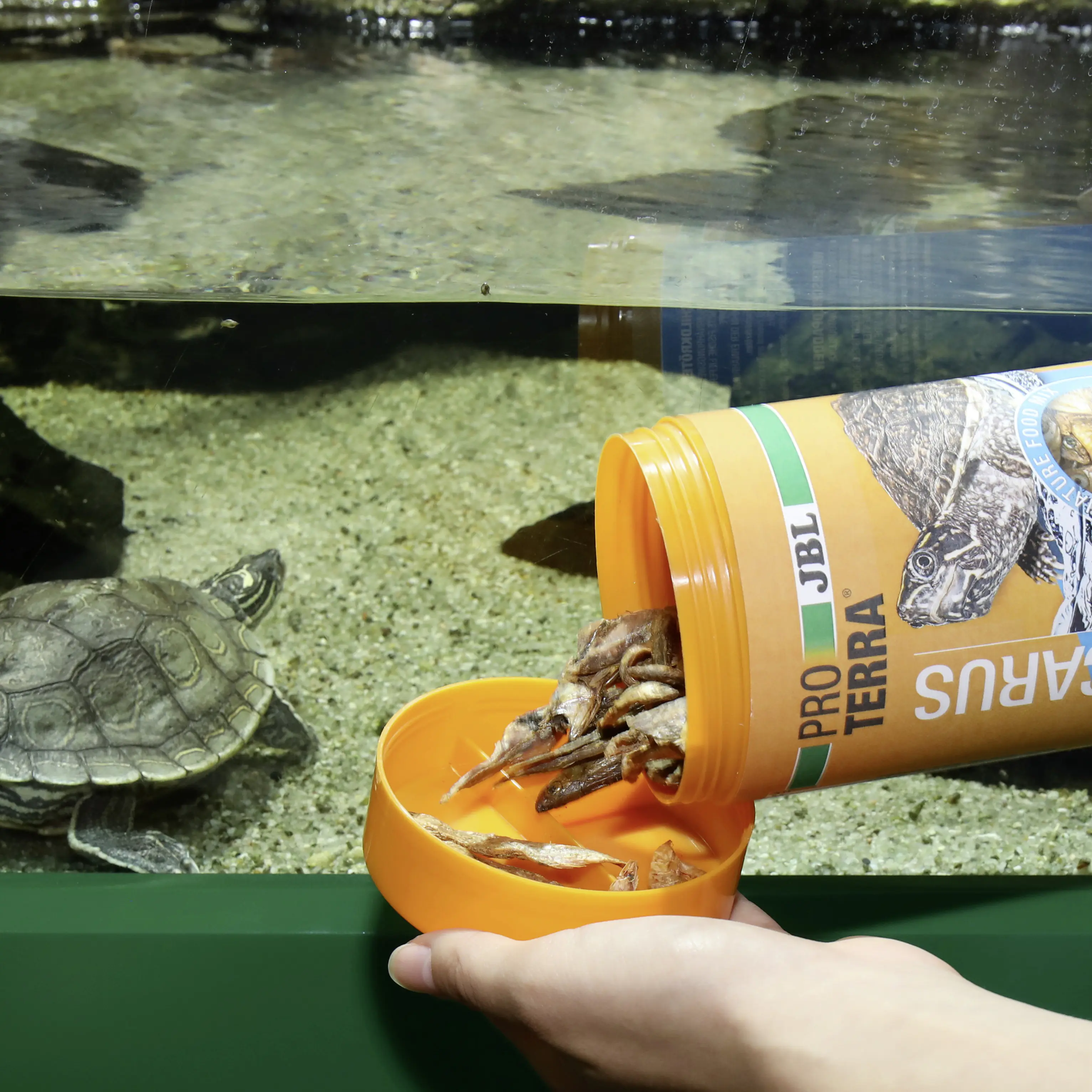 JBL Schildkrötenfutter Proterra Pescarus 250 ml