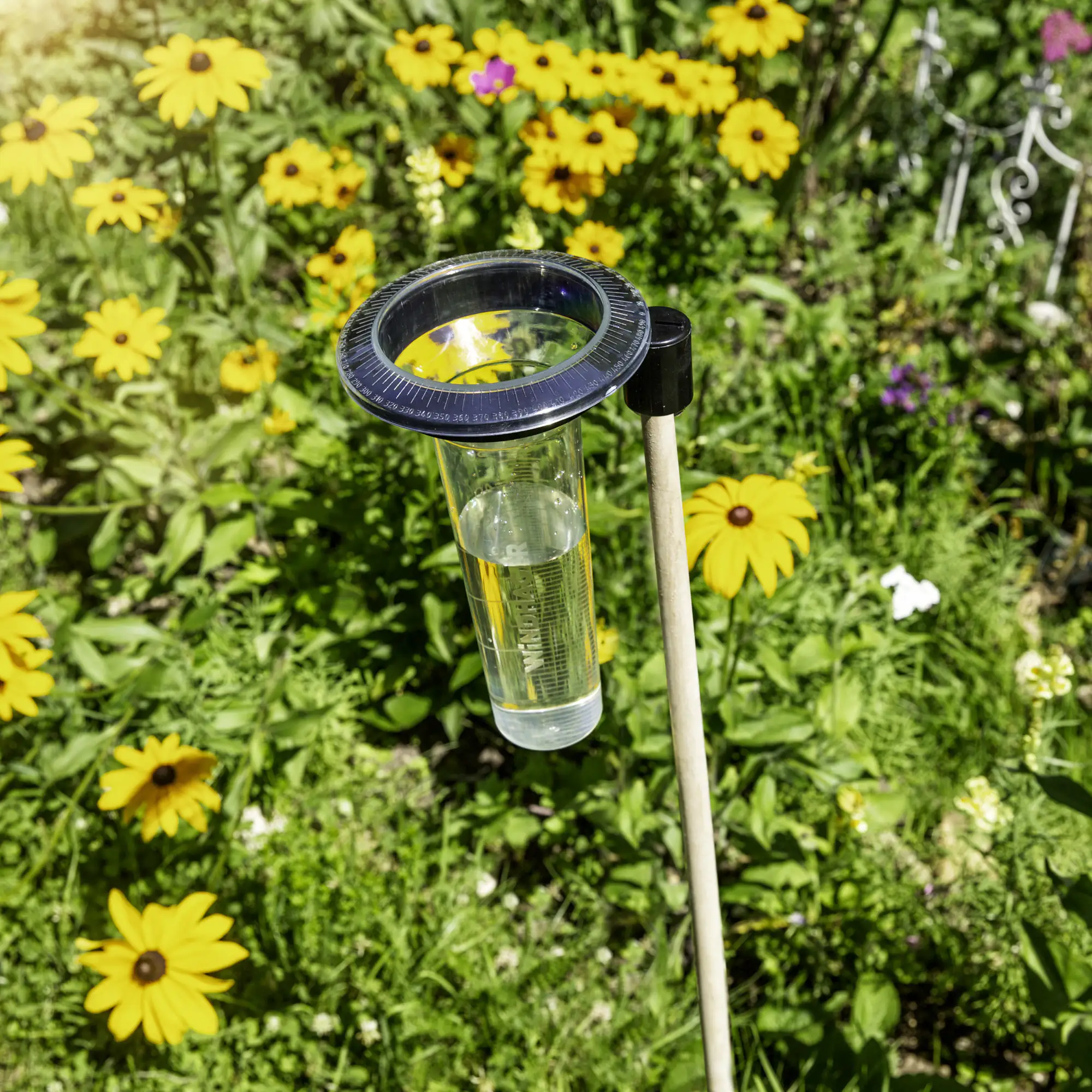 Windhager Regenmesser Memory 24 cm, transparent