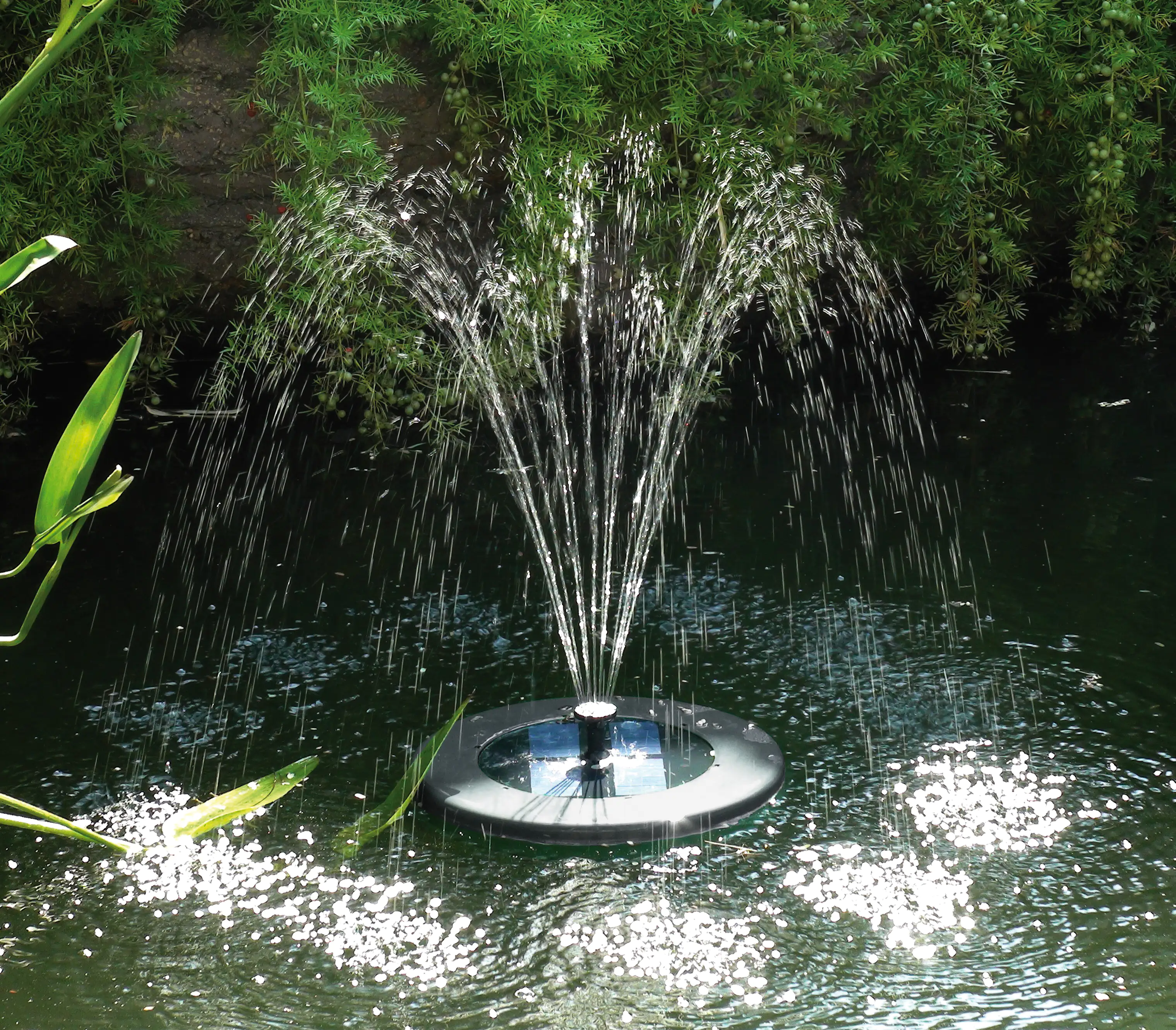 T.I.P.Solar-Teichwasserspiel Schwimminsel inkl. LED Beleuchtung T.I.P.Solar-Teichwasserspiel Schwimminsel inkl. LED Beleuchtung