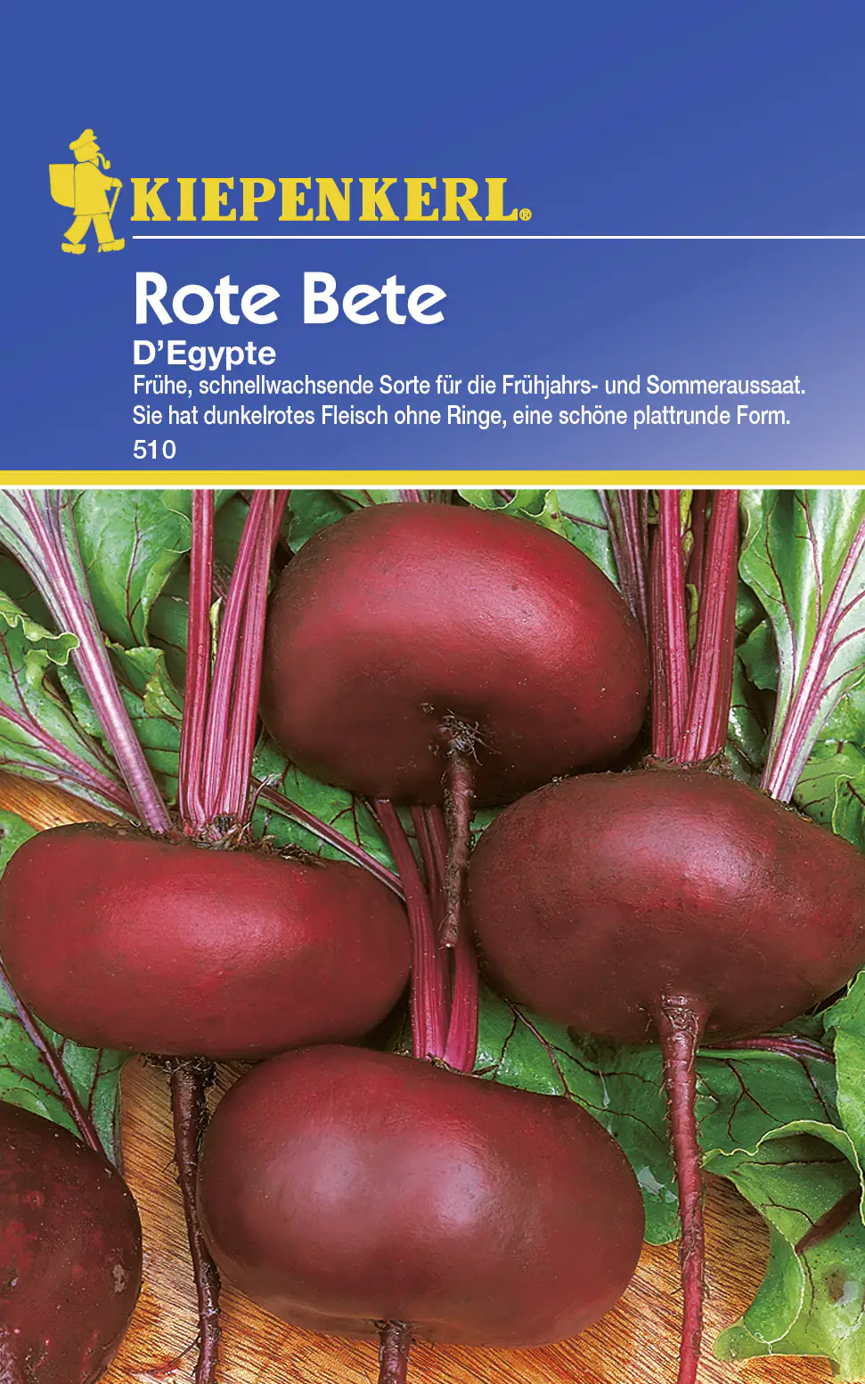 Kiepenkerl Rote Bete D'Egypte ca. 100 Pflanzen