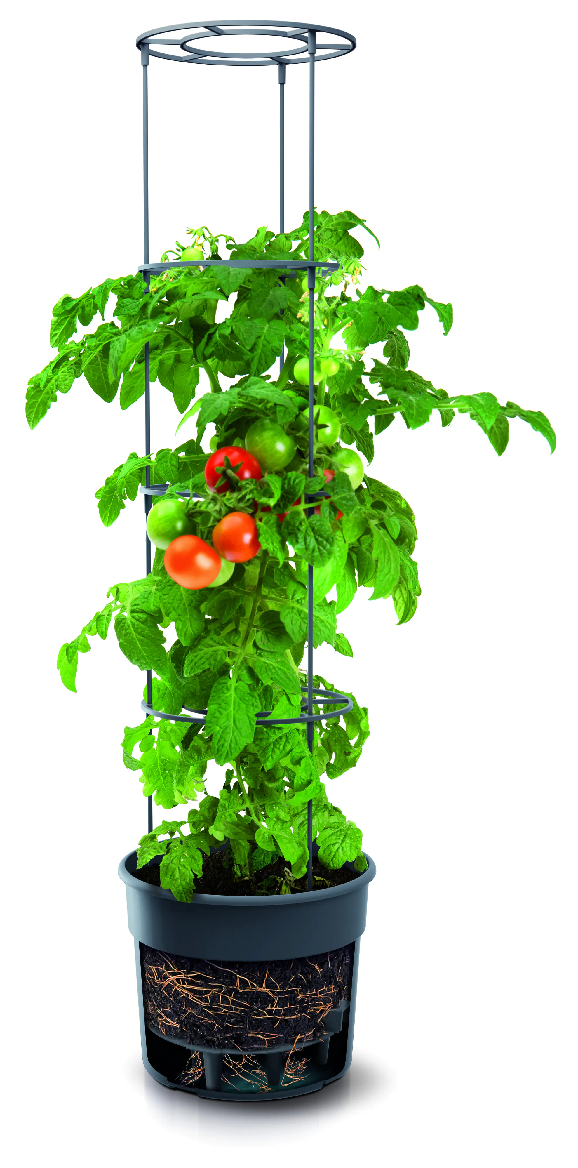 Tomatentopf aus Kunststoff anthrazit Tomatentopf aus Kunststoff anthrazit