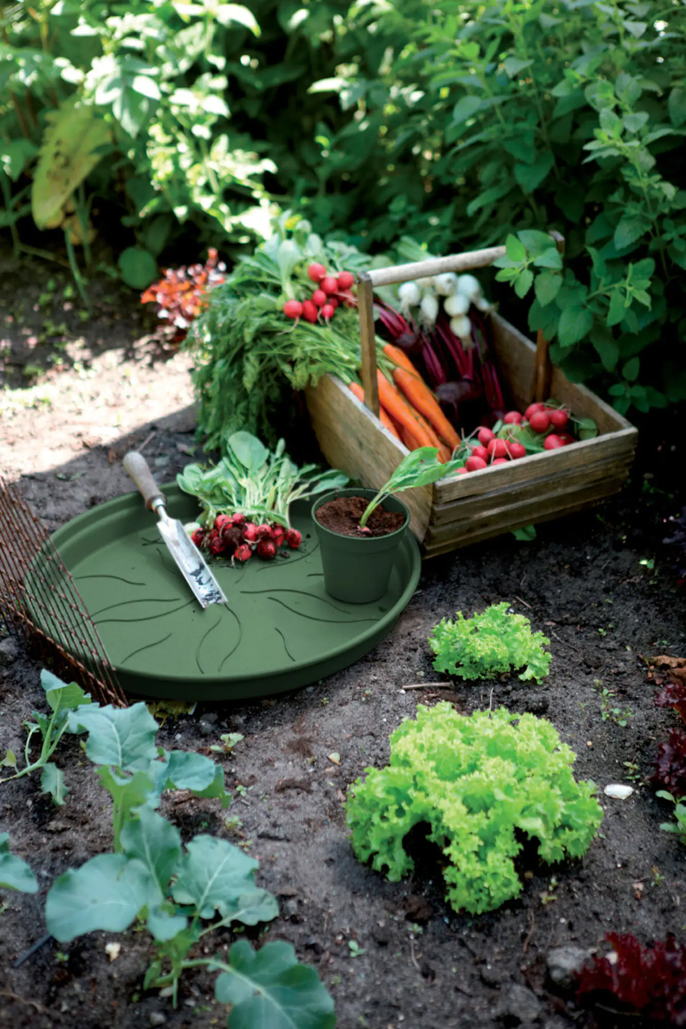 Elho Untersetzer Green Basic laubgrün Ø 14 cm Elho Untersetzer Green Basic laubgrün Ø 14 cm