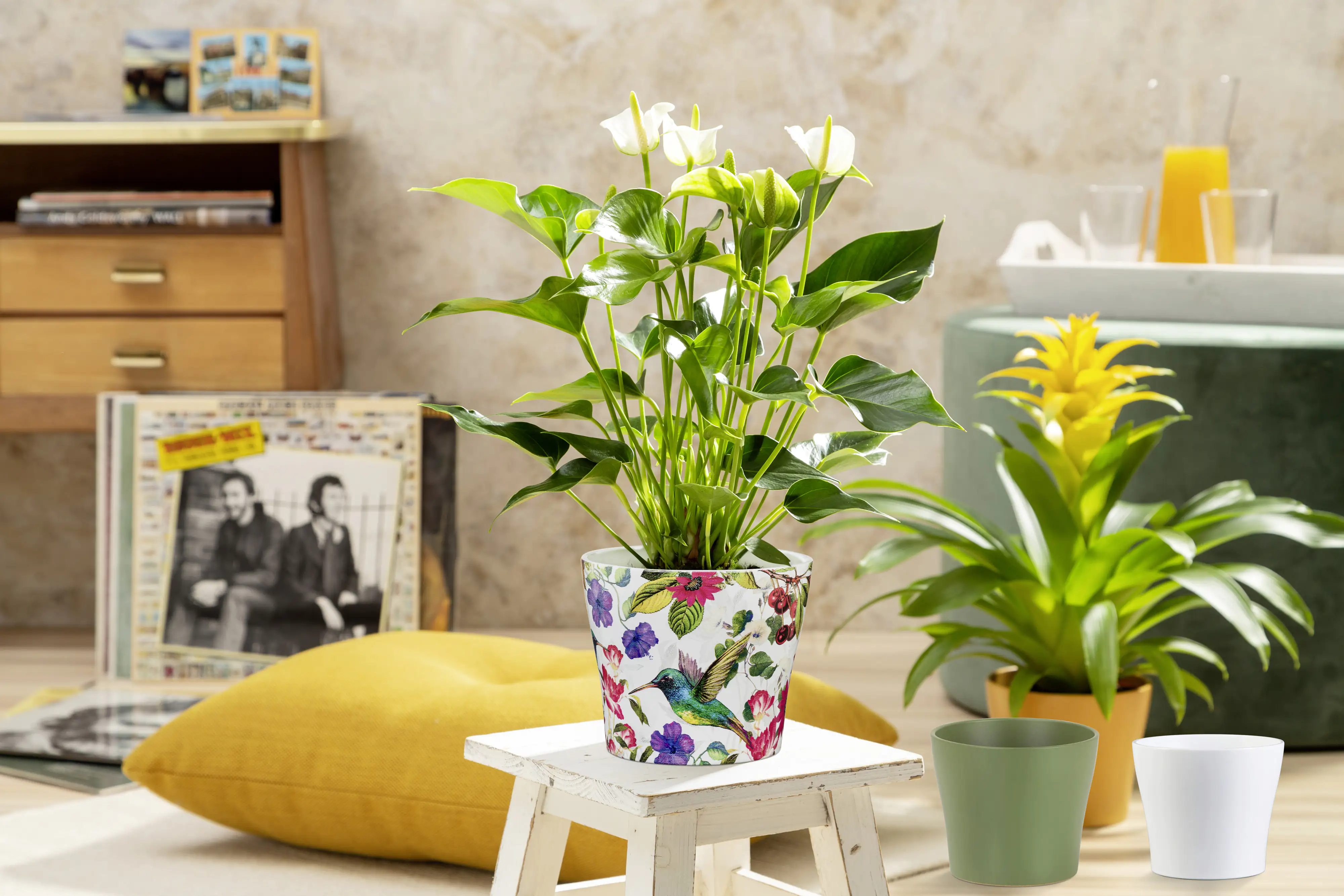 Scheurich Übertopf Serie 808 Ø 21 x 19 cm curcuma