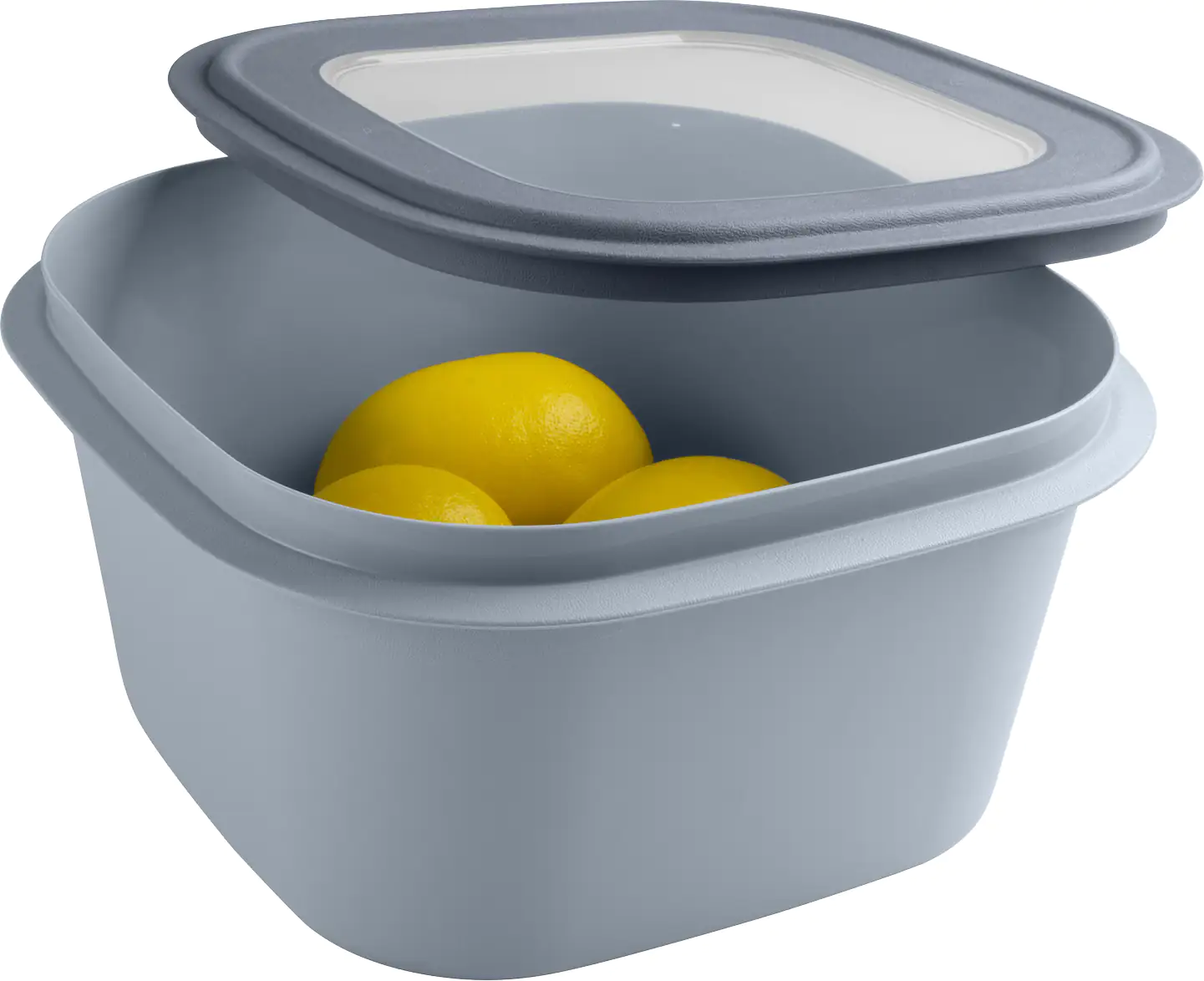 Sunware Frischhaltedose Sigma Home 3,8 L blaugrau