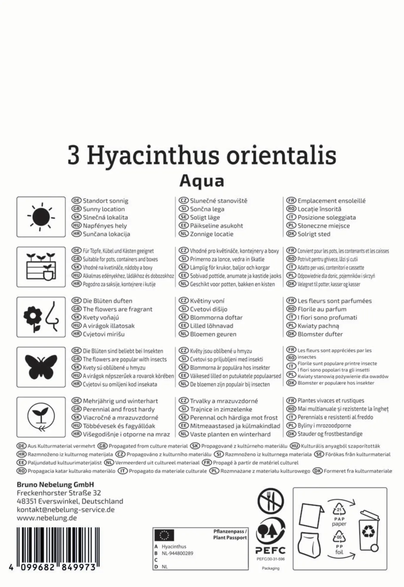 Kiepenkerl Herbstblumenzwiebel Hyazinthe Aqua 3 Stück