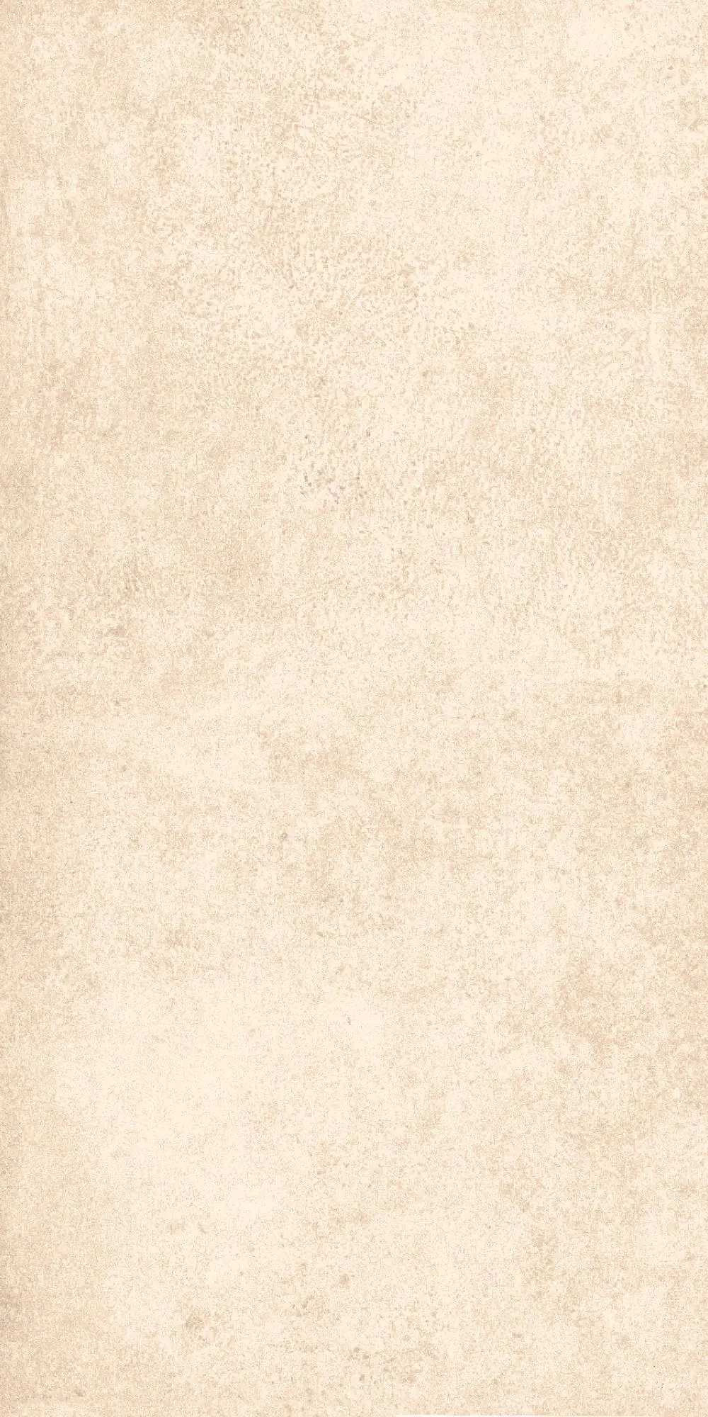 Bodenfliese Feinsteinzeug Atlas 30 x 60 cm weiß-beige