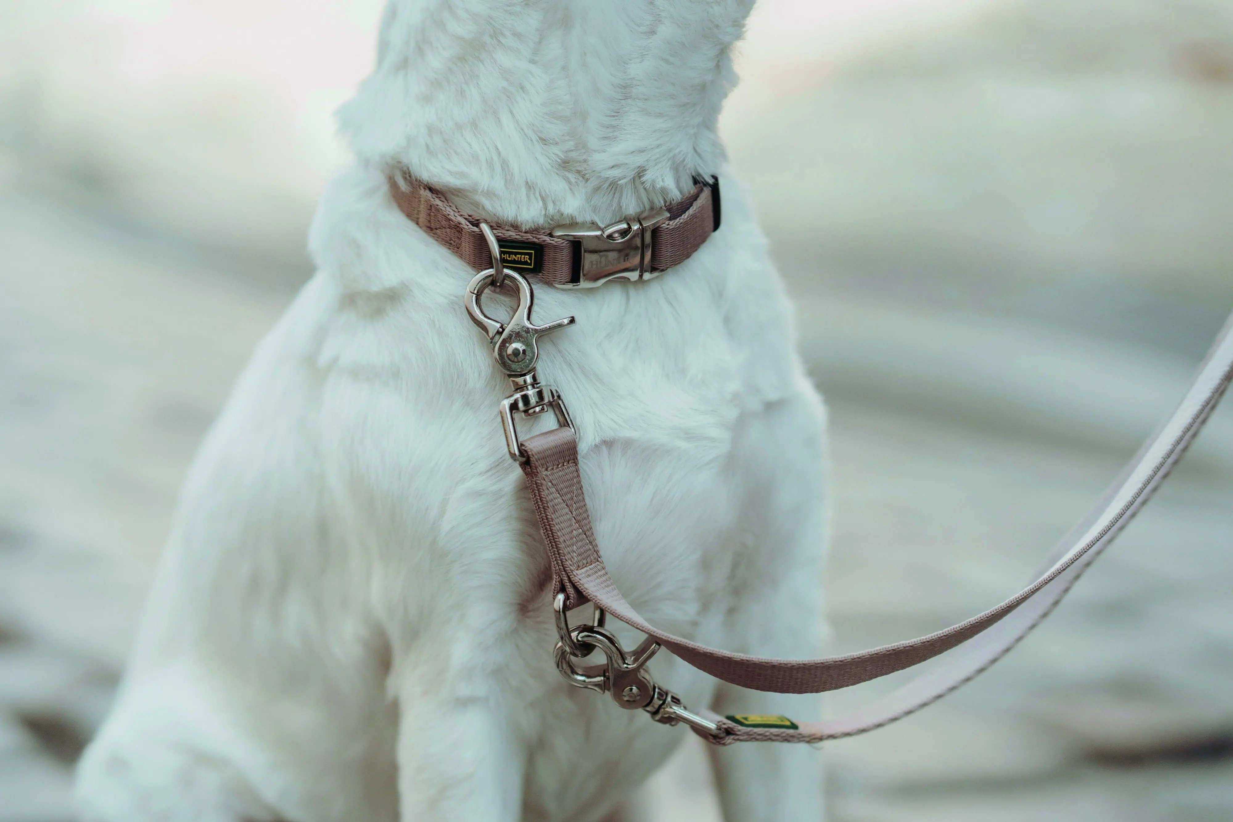 Hunter Hundeleine Führleine verstellbar Inari 2 m x 2 cm beige