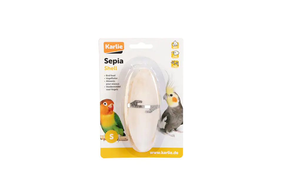 Sepiaschale 2Stück 13,5cm Sepiaschale 2Stück 13,5cm