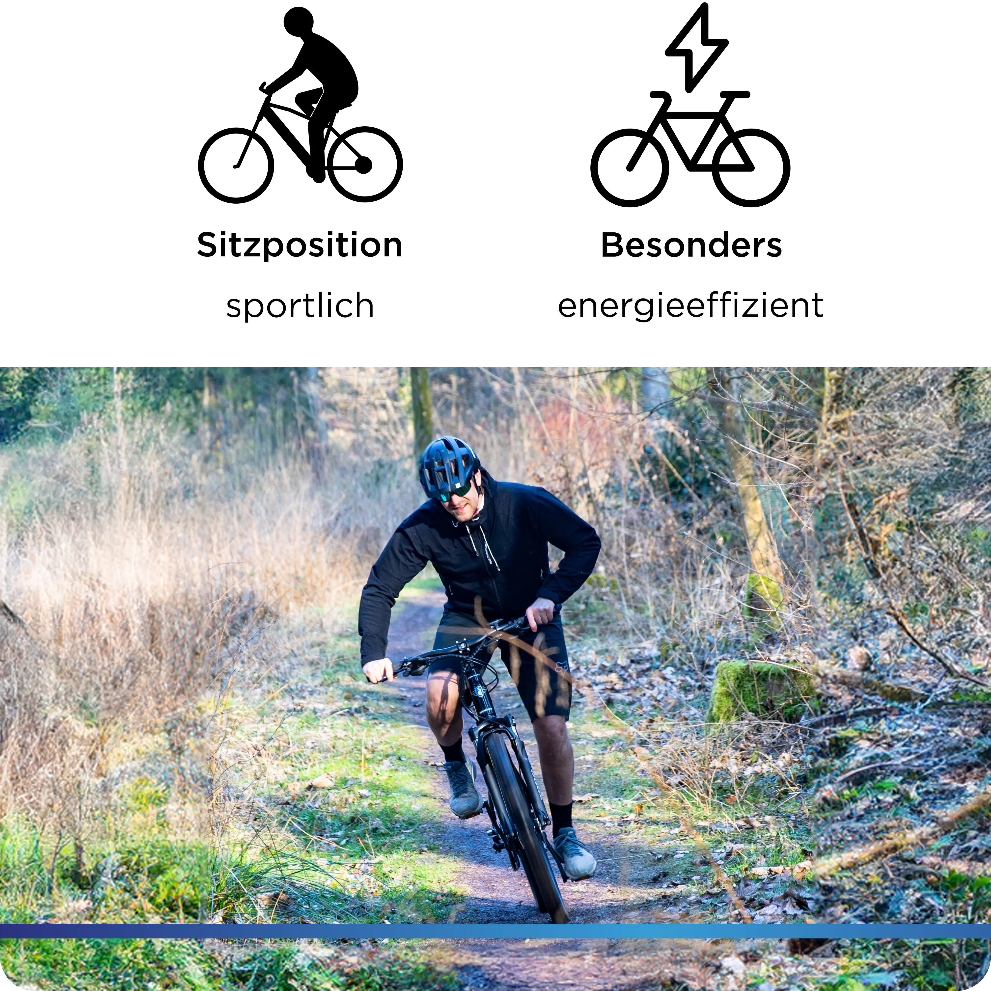 Zündapp E-Bike MTB X900 27,5 Zoll 10-Gang 733 Wh khaki Zündapp E-Bike MTB X900 27,5 Zoll 10-Gang 733 Wh khaki