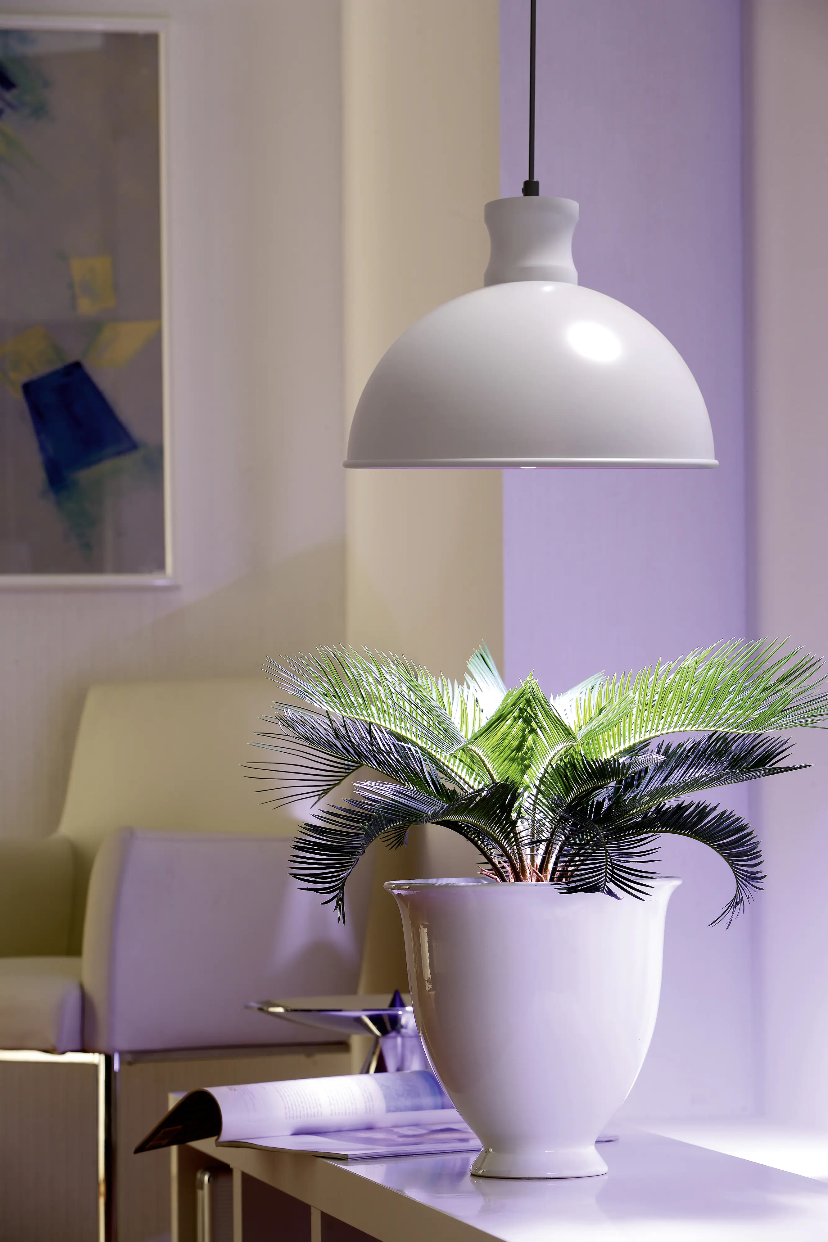 5055320026587_2916517 Bio Green Pflanzenleuchte Florabooster 500 W 6,5 W weiß