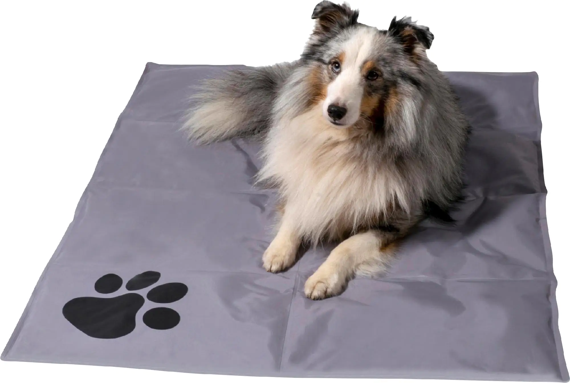 Dobar Kühlmatte mit Pfoten eckig L 99,5 x B 70 cm grau/schwarz Dobar Kühlmatte mit Pfoten eckig L 99,5 x B 70 cm grau/schwarz