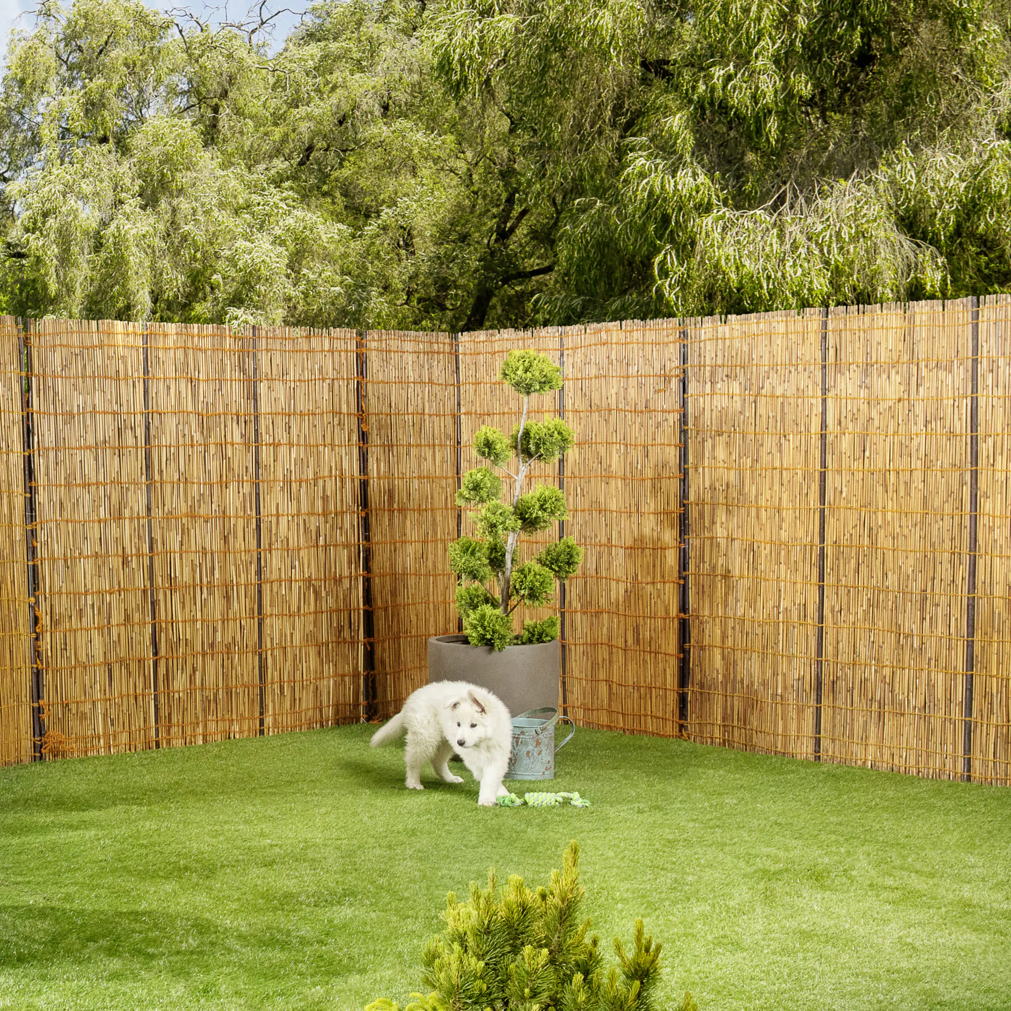 Sichtschutzmatte Sendai 180 x 180 cm