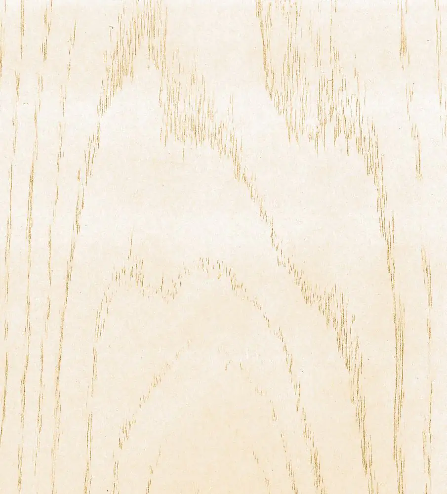 B.S. Bauprogramm Roundlinepaneele 120 x 25 cm, 10 mm, Esche weiß