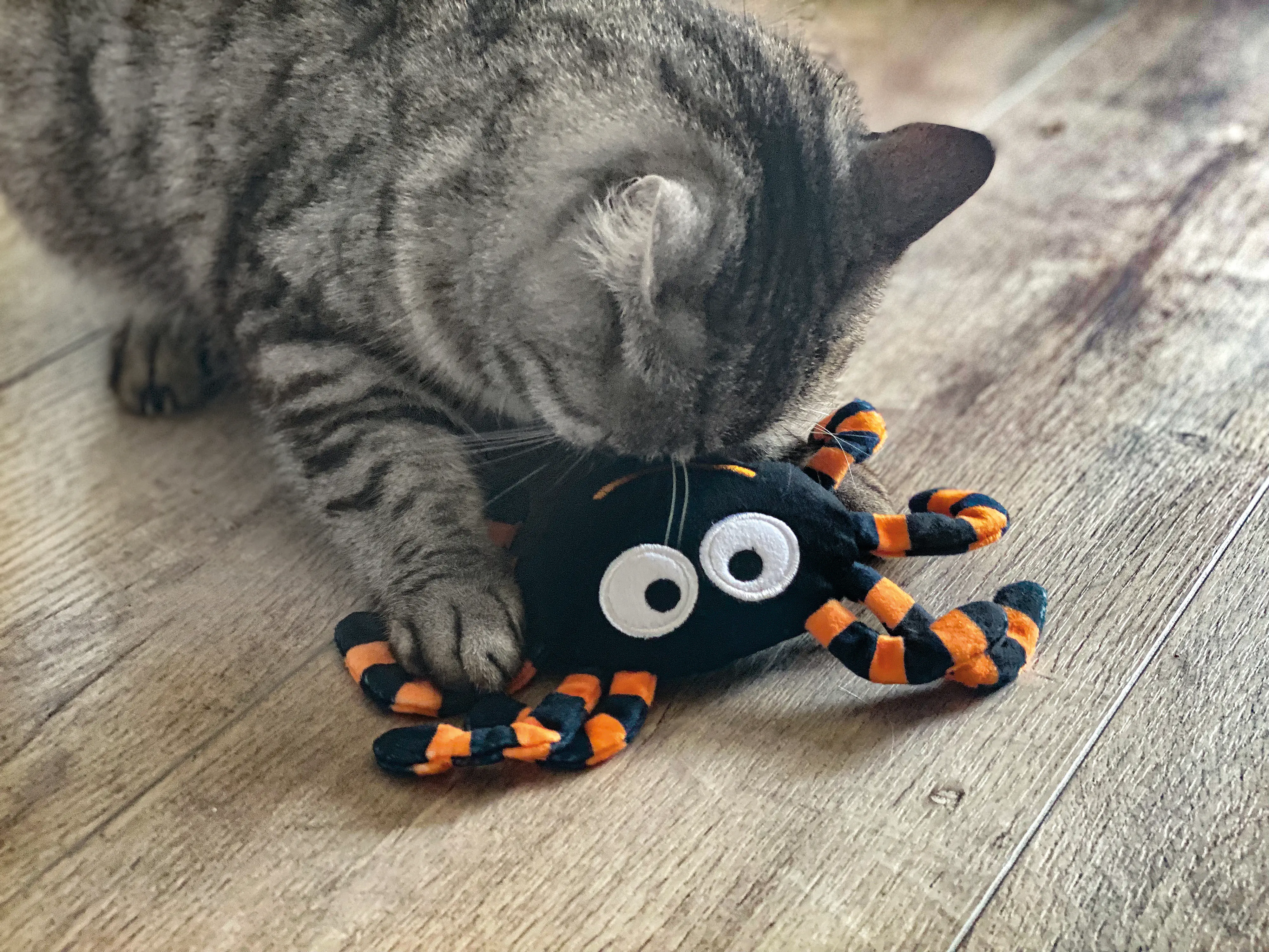 Aumüller Katzenspielzeug Spinne Thekla 18 cm schwarz orange Aumüller Katzenspielzeug Spinne Thekla 18 cm schwarz orange