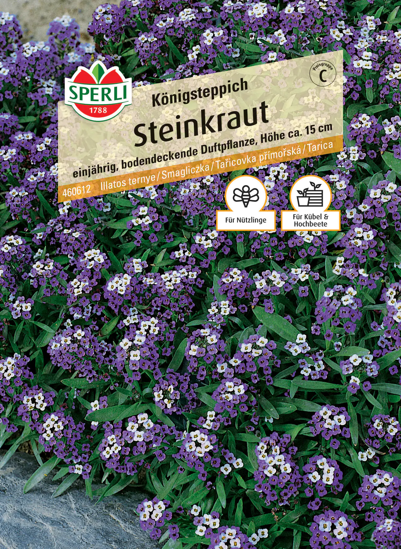 Sperli Steinkraut Königsteppich