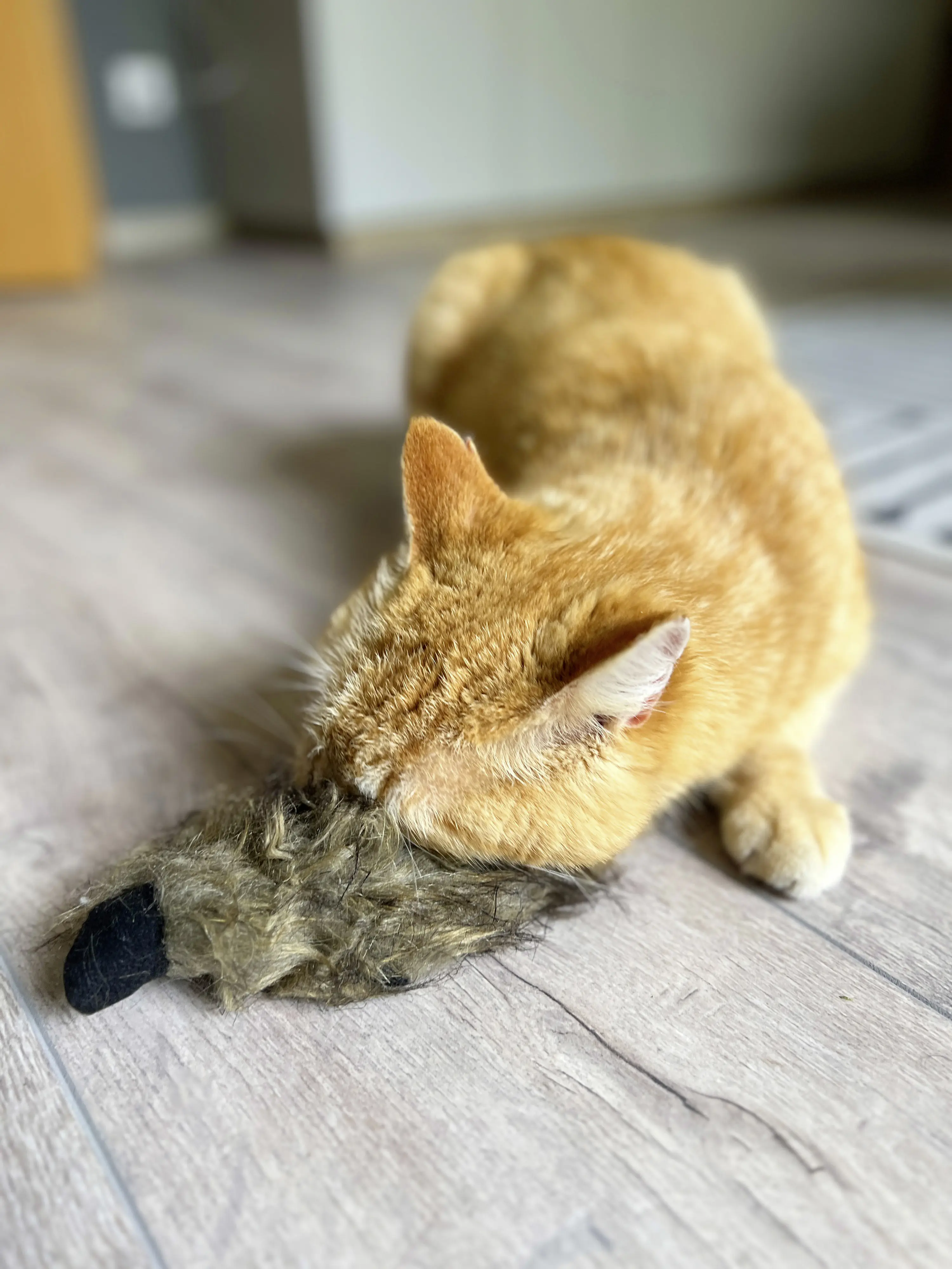 Aumüller Katzenspielzeug Frettchen grau mit Füllung 42 x 10 x 3 cm