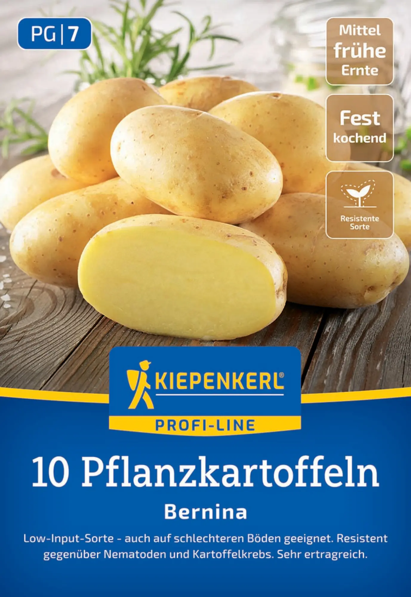 Kiepenkerl Pflanzkartoffel Bernina 10 Stück