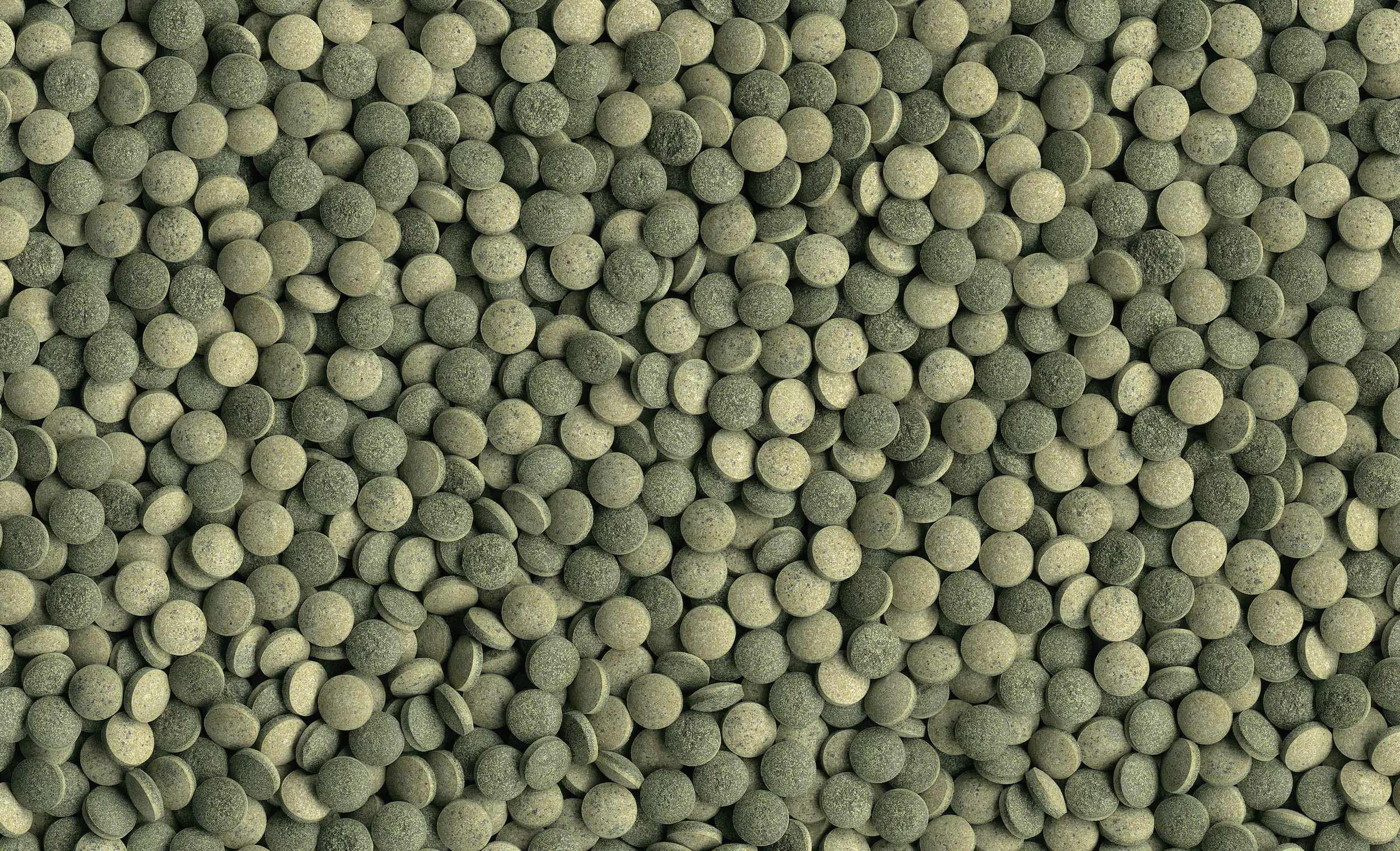 Tetra Zierfischfutter Pleco Tablets 275 Tabs