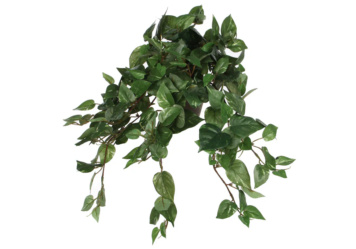 Mica Kunstpflanze Schimdaases hängend grün im Topf 45 x 25 x 25 cm