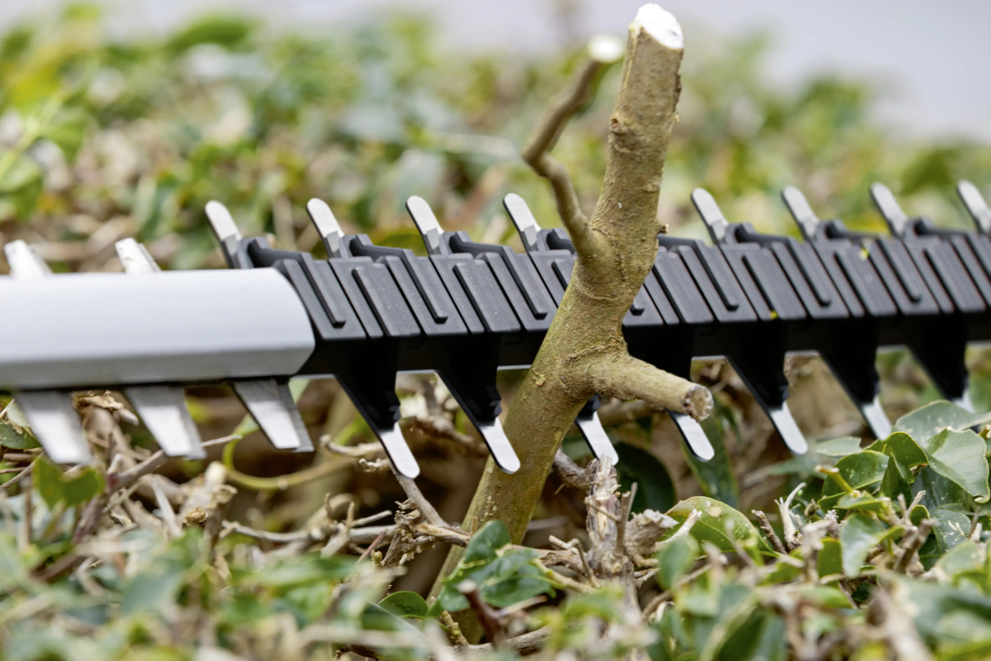 Bosch Professional Akku-Heckenschere GHE 18V-60 Solo Bosch Professional Akku-Heckenschere GHE 18V-60 Solo