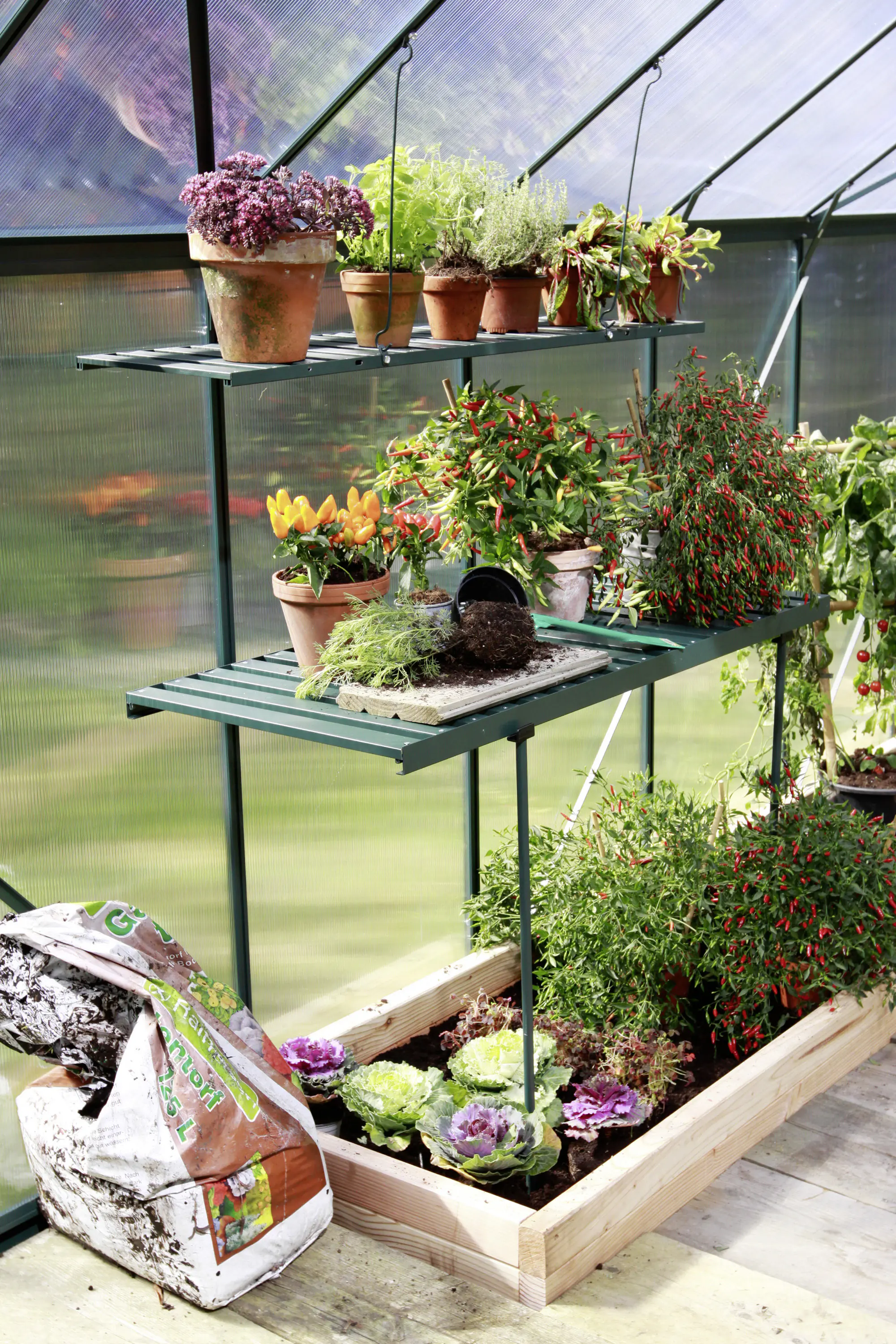 Vitavia Alutisch 120 x 56 x 81 smaragd