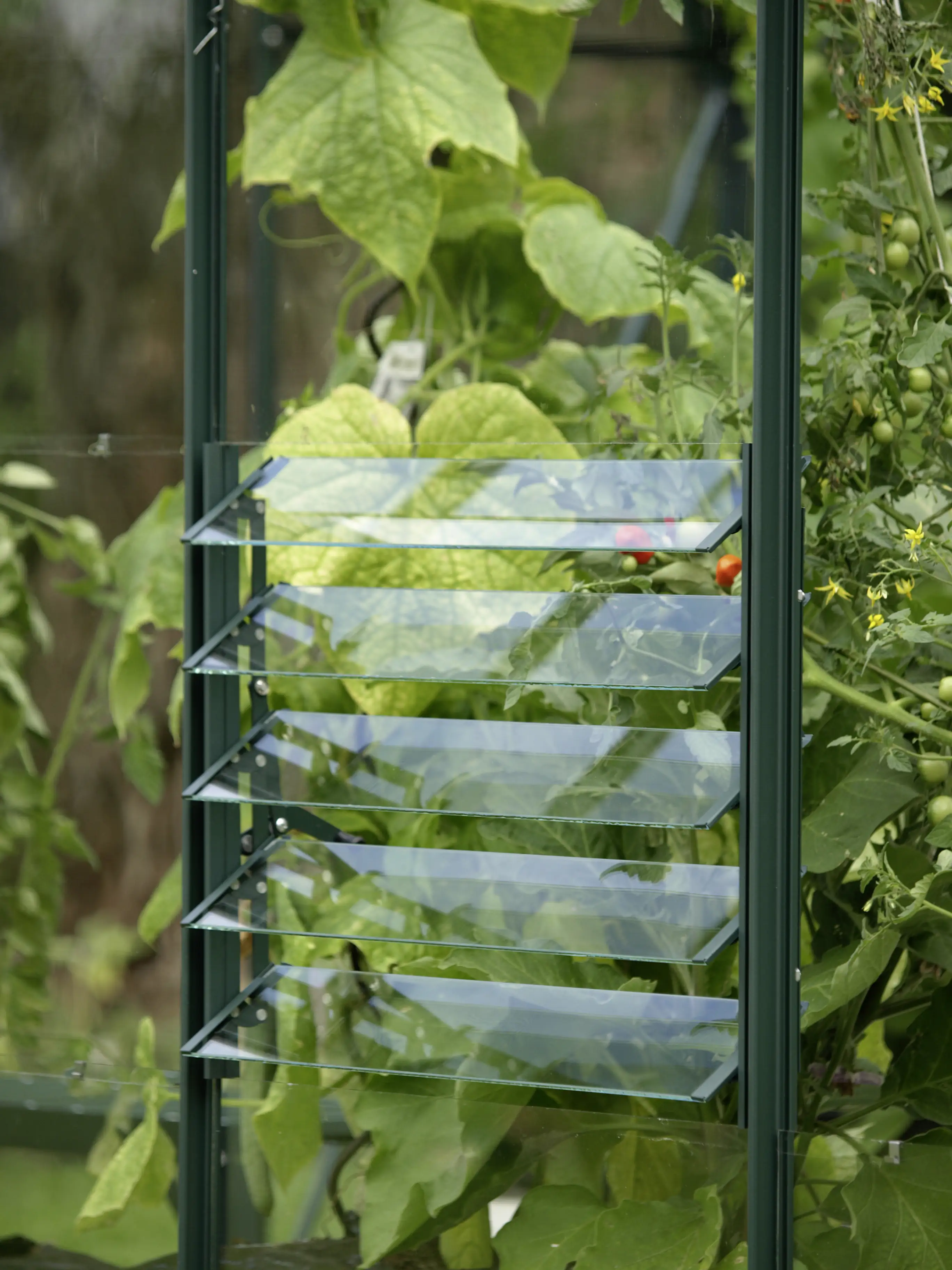 5703774200281 Vitavia Lamellen-Wandfenster 61 x 45 cm smaragd