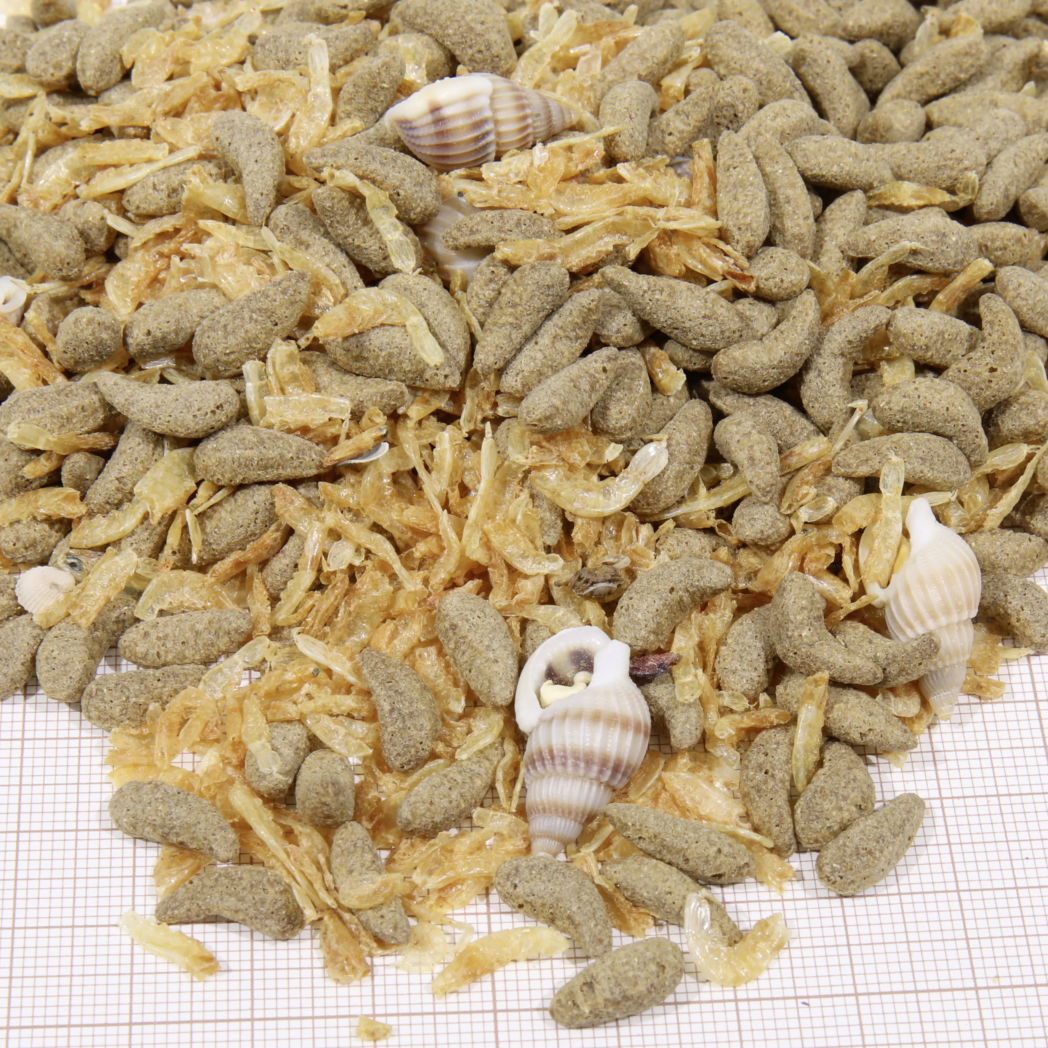 JBL Schildkrötenfutter Proterra Molluscus 250 ml