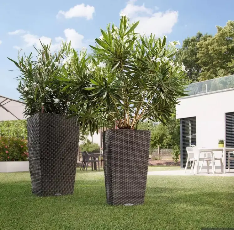 Lechuza Pflanzgefäß Cubico Cottage 40 sandbraun