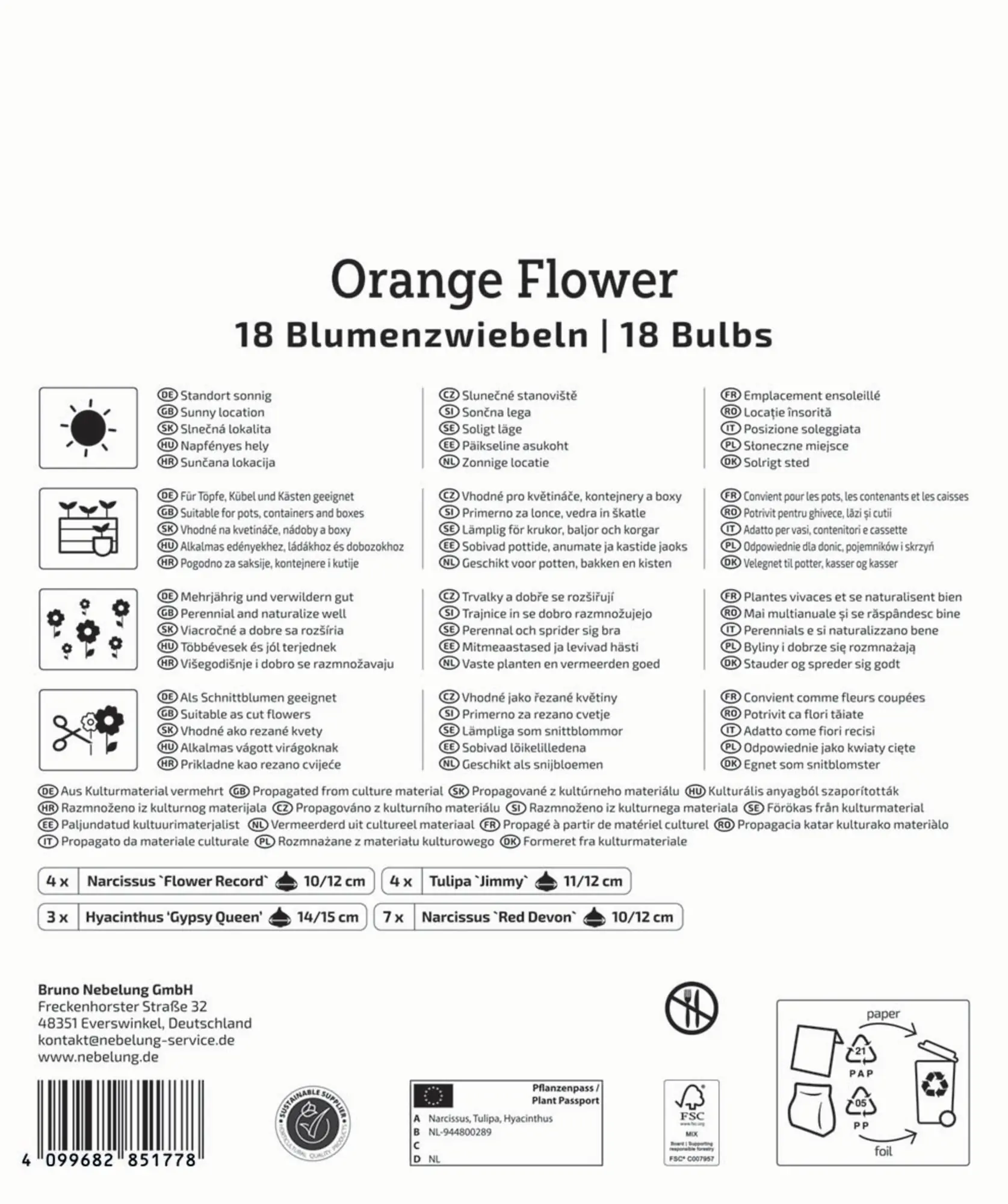 Kiepenkerl Herbstblumenzwiebel Artenmischung Orange Flower Mix 18 Stück